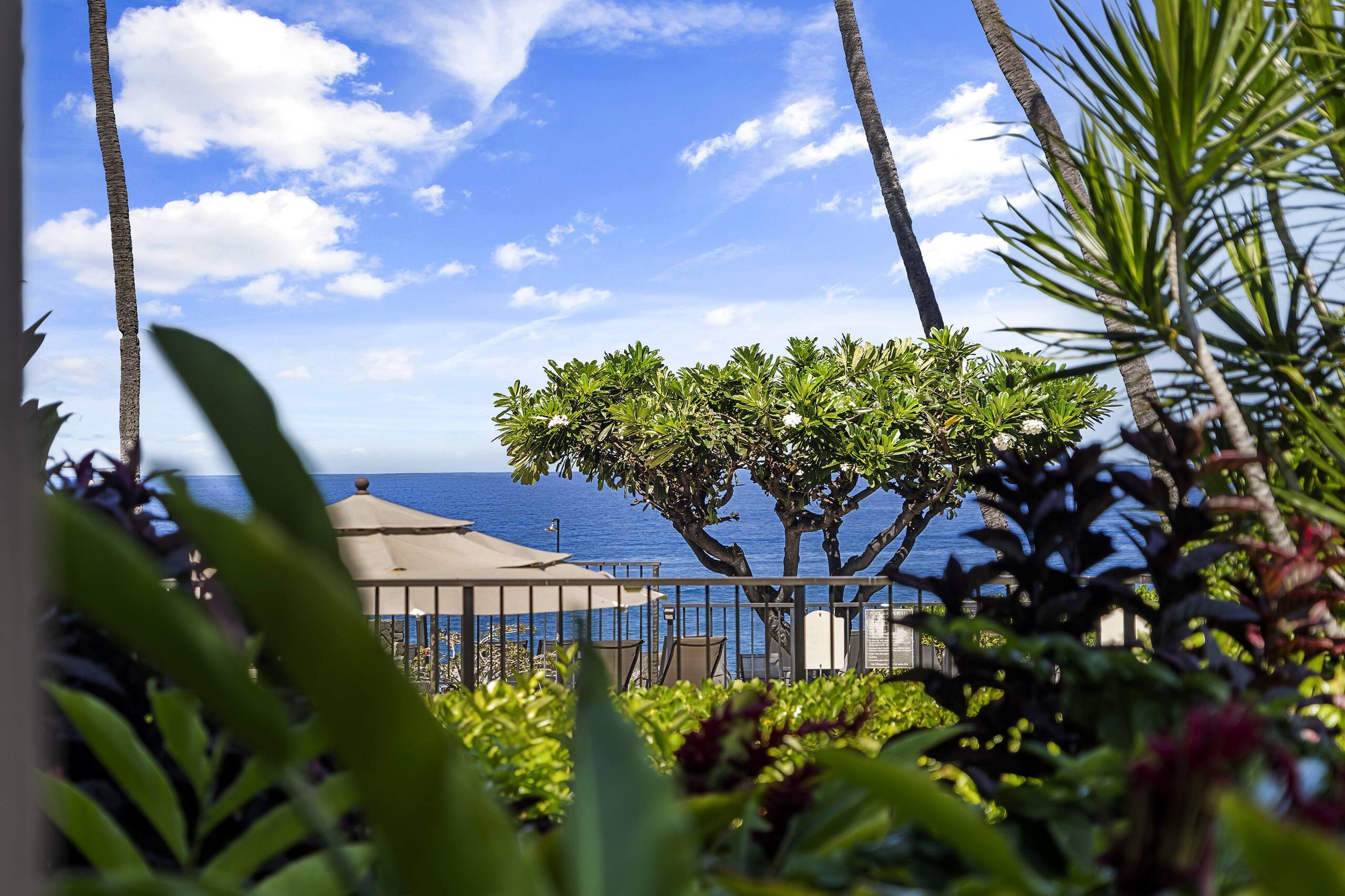 Condo in Kailua-Kona · ★4.43 · 1 bedroom · 2 beds · 1 bath - Image 24