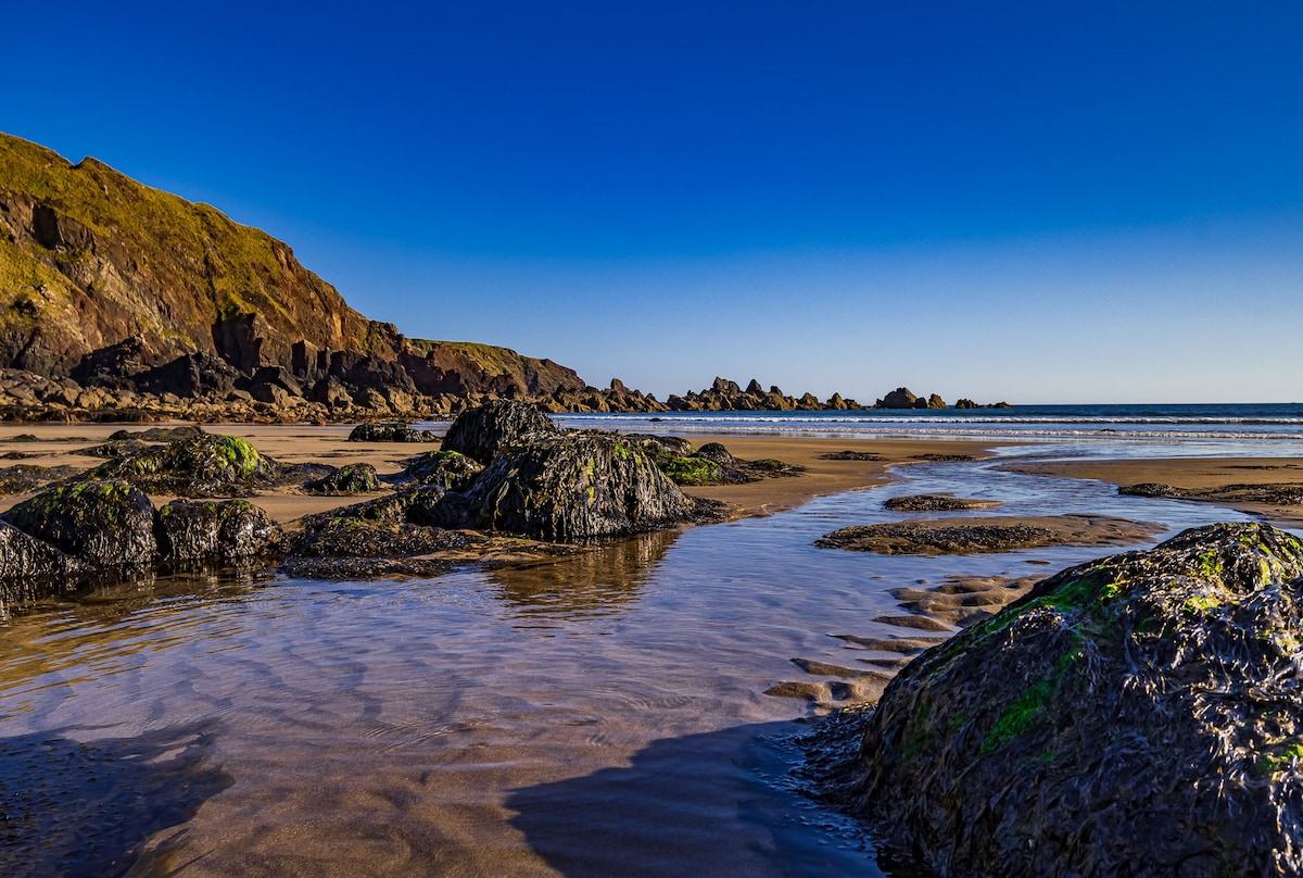 A serene beach scene captures a stretch of sandy shore interspersed with smooth, dark rocks. The clear blue sky reflects on the calm water, while the distant cliffs outline the beach, creating a tranquil coastal atmosphere.