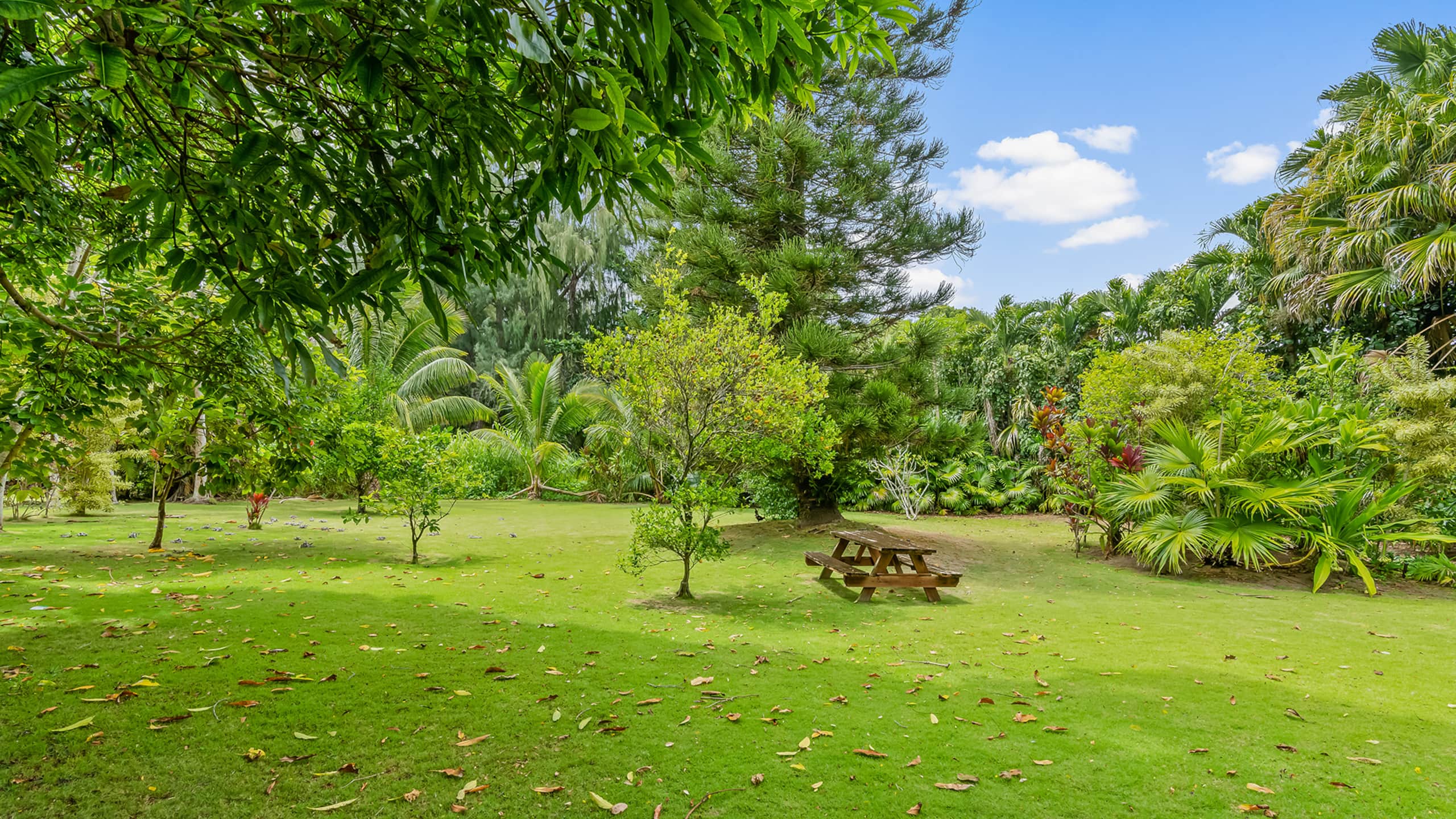 Home in Kilauea · ★4.71 · 3 bedrooms · 4 beds · 2.5 baths - Image 6