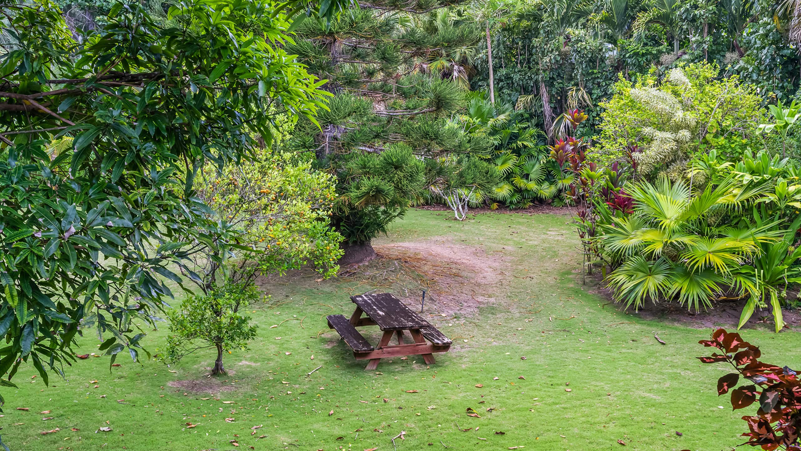 Home in Kilauea · ★4.71 · 3 bedrooms · 4 beds · 2.5 baths - Image 19