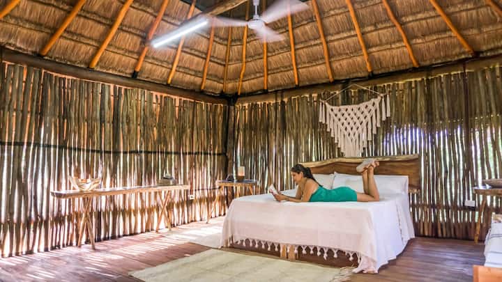 在阳光和无与伦比的氛围中醒来/在阳光和无与伦比的氛围中醒来
