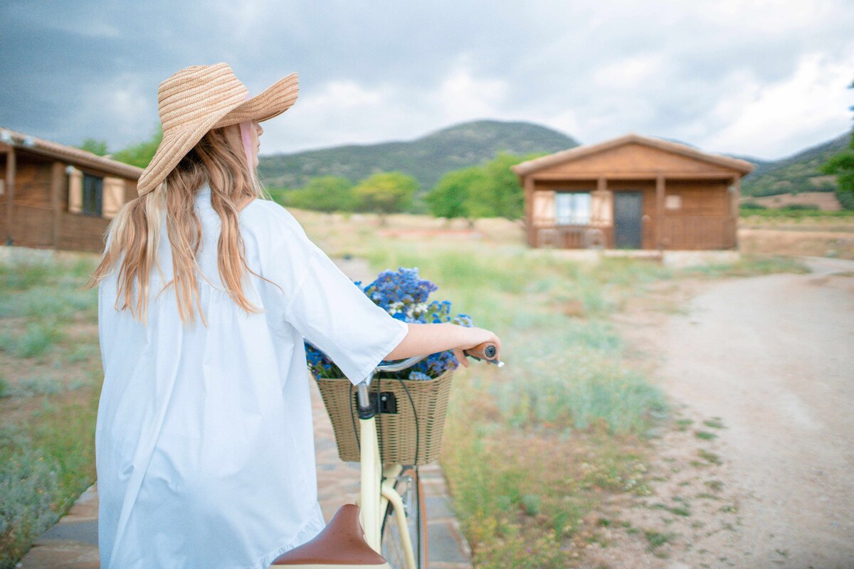 A bicycle with a basket filled with blue flowers is positioned on a pathway leading to wooden cabins in a rural setting. Lush greenery and hills are visible in the background, under a cloudy sky, enhancing the serene atmosphere.