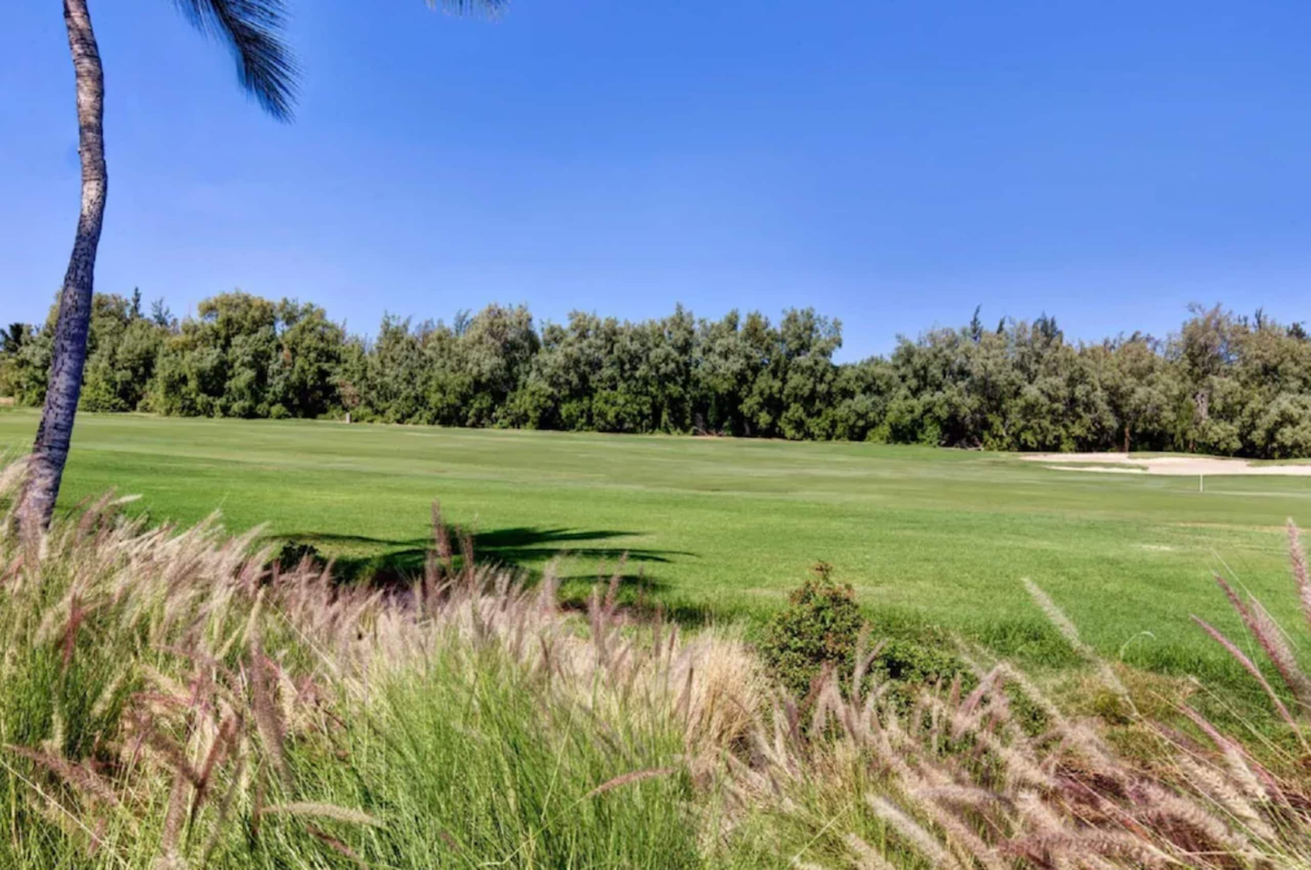 Corner Villa, Steps from Waikoloa Shops & Beaches - Photo 20