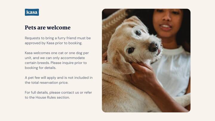 animal house of chicago prices