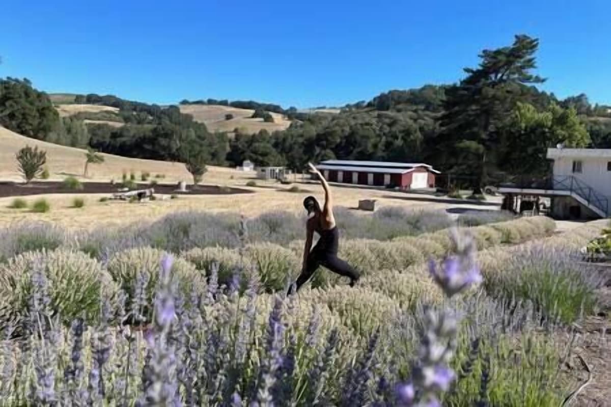 The Quintessential Vintage Barn~ Prime West Paso - Barns for Rent