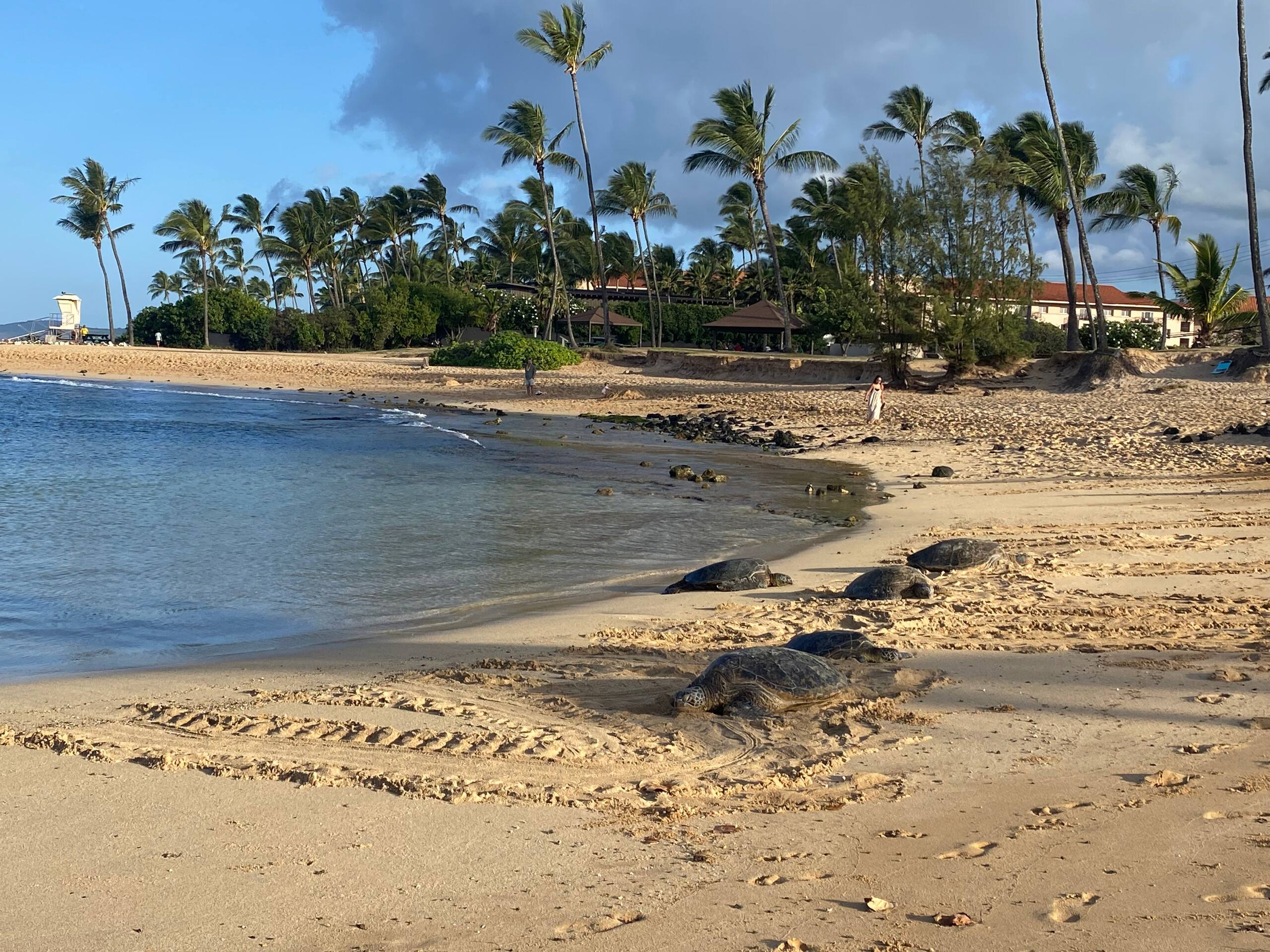 Condo in Koloa · ★4.69 · 1 bedroom · 2 beds · 1 shared bath - Image 33