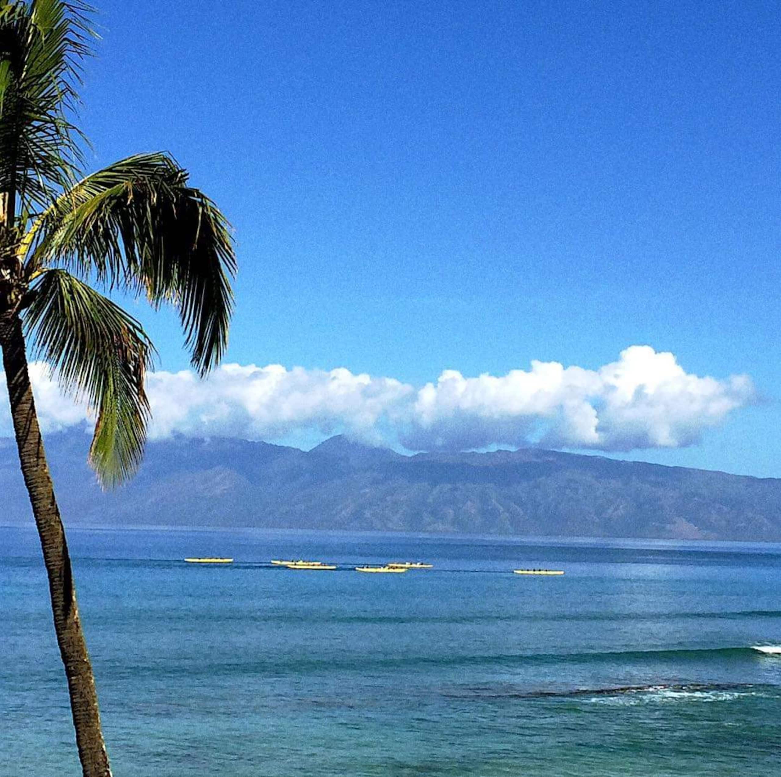 Condo in Lahaina · ★4.93 · 1 bedroom · 1 bed · 1 bath - Image 45