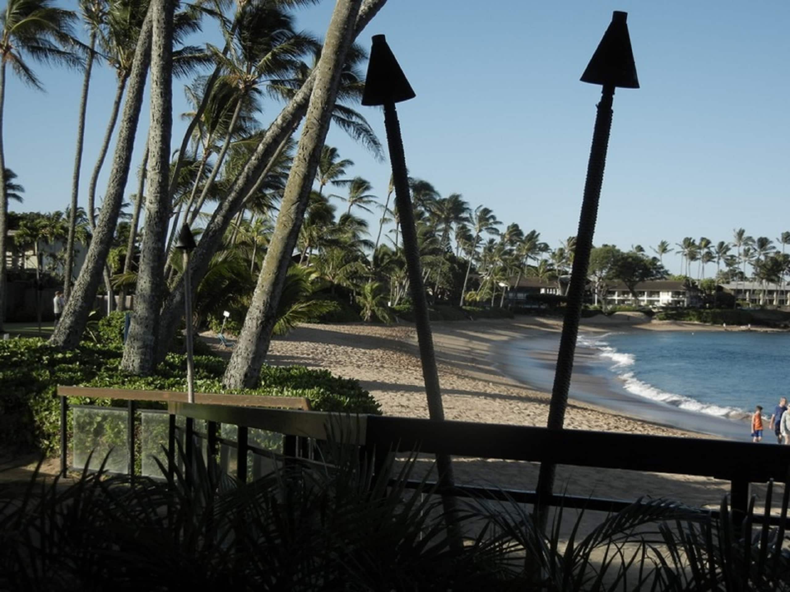 Condo in Lahaina · ★4.93 · 1 bedroom · 1 bed · 1 bath - Image 62