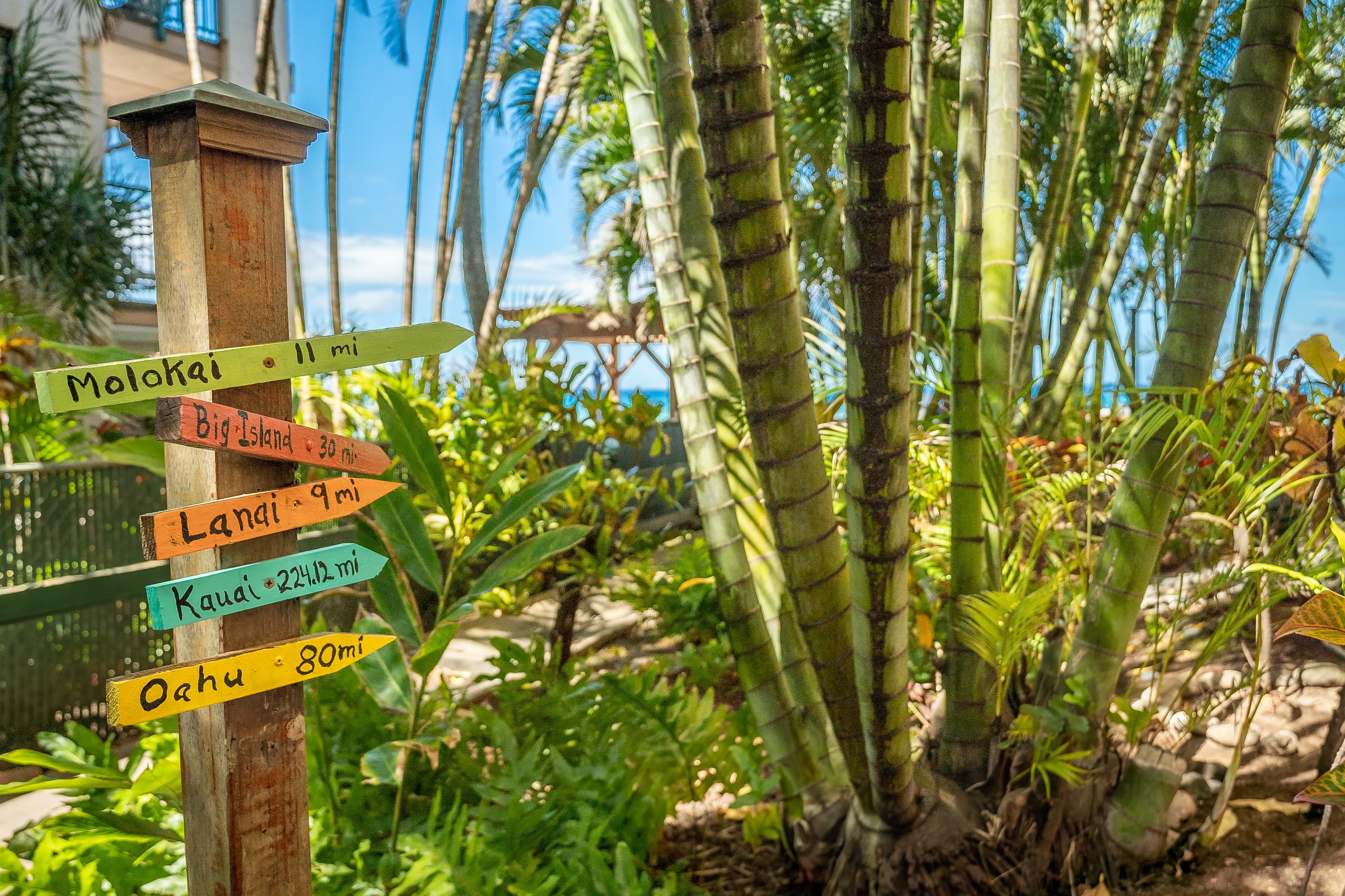 Condo in Lahaina · ★4.93 · 1 bedroom · 1 bed · 1 bath - Image 61