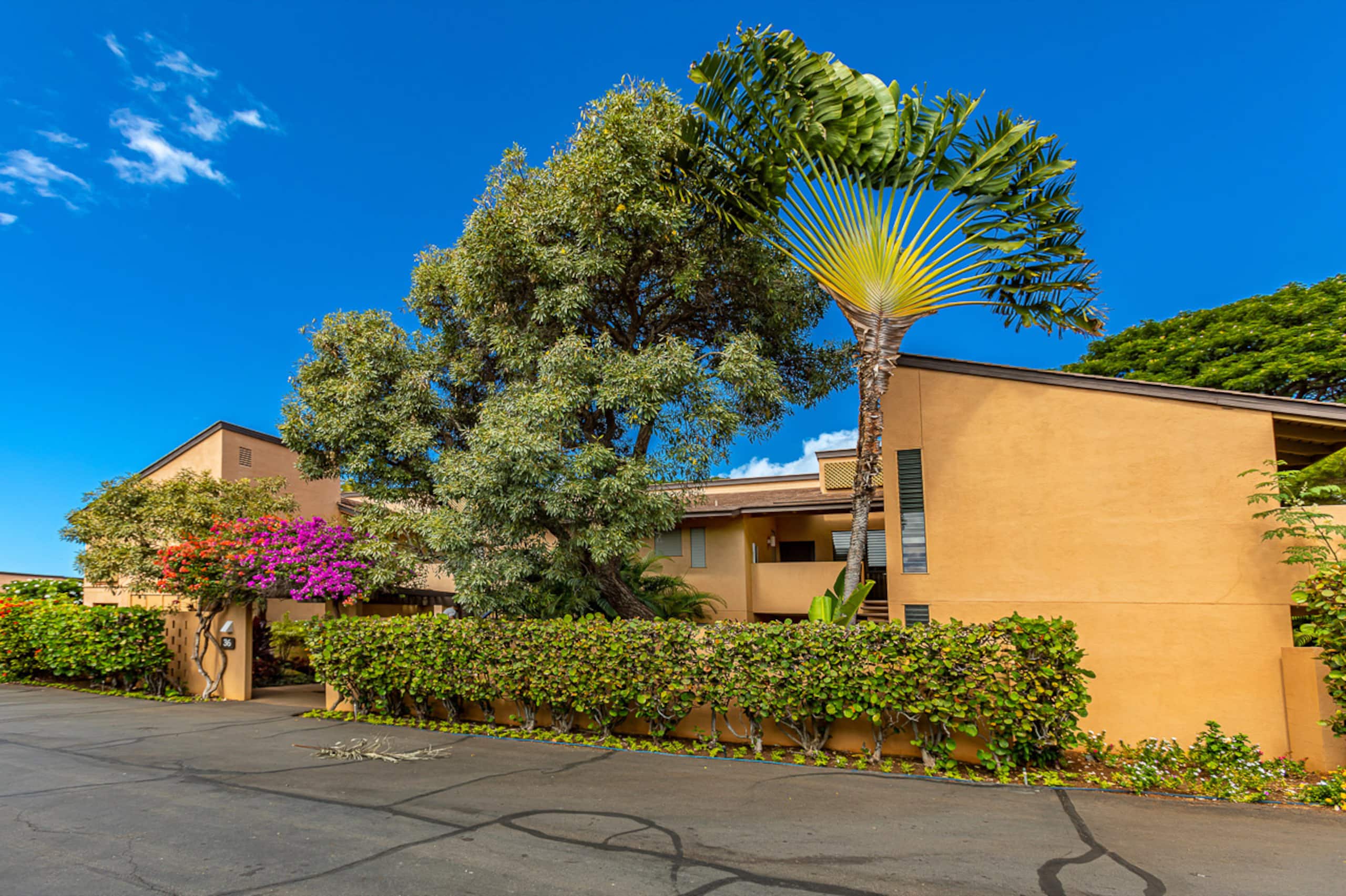 Condo in Kihei · ★4.56 · 1 bedroom · 2 beds · 2 shared baths - Image 28