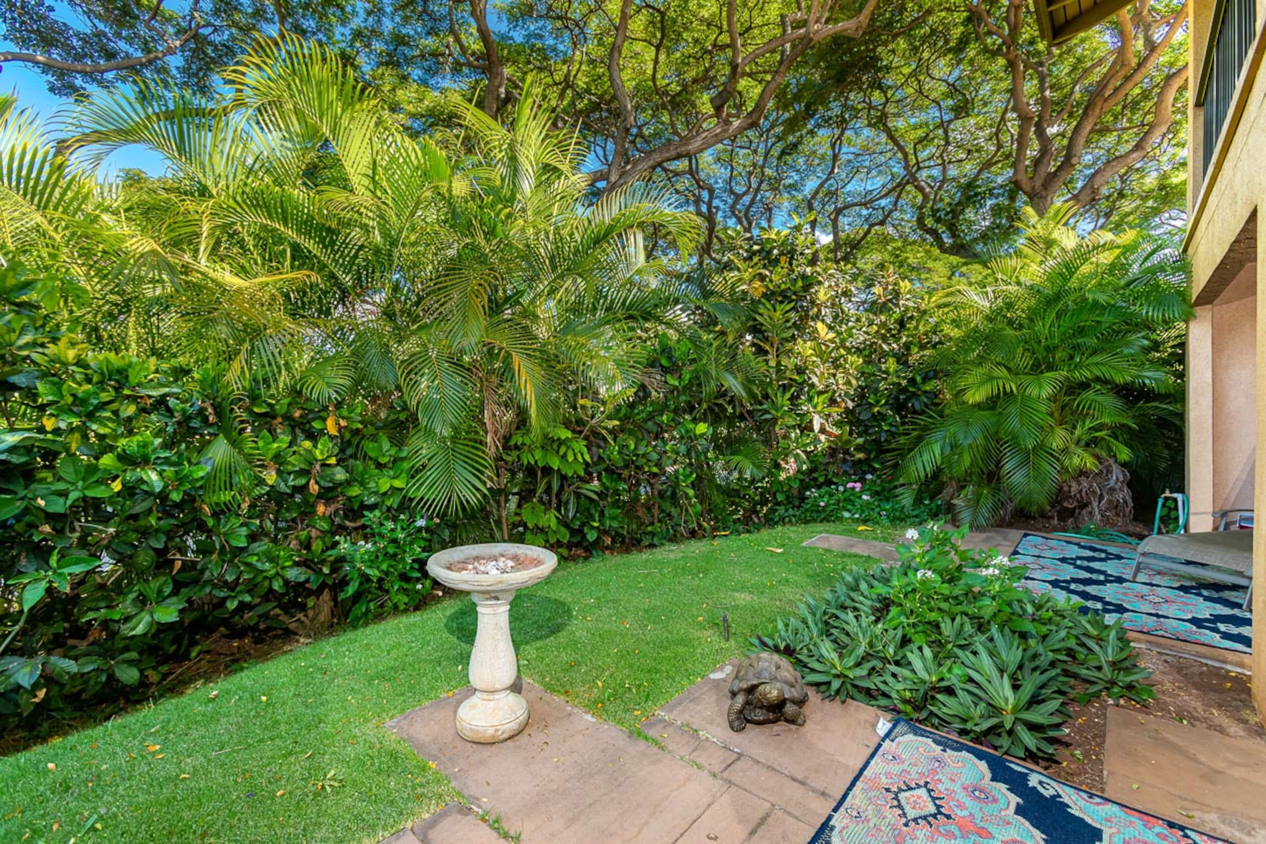 Condo in Kihei · ★4.56 · 1 bedroom · 2 beds · 2 shared baths - Image 2