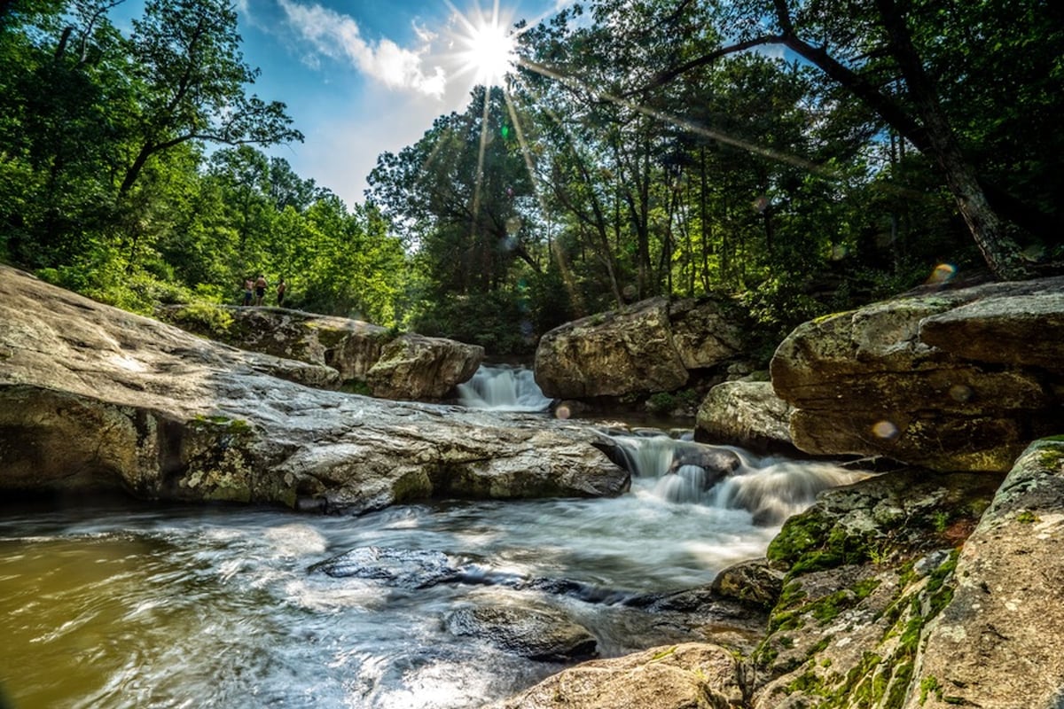 Sunlight filters through lush trees, illuminating a serene creek adorned with smooth rocks. Gentle water flows over the stones, creating a peaceful atmosphere. Nearby, vibrant greenery contrasts with the soft tones of the water, enhancing the natural beauty of the area.
