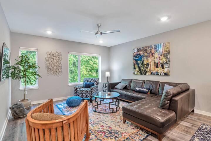 Asheville Proud South Slope Townhome gallery image 4