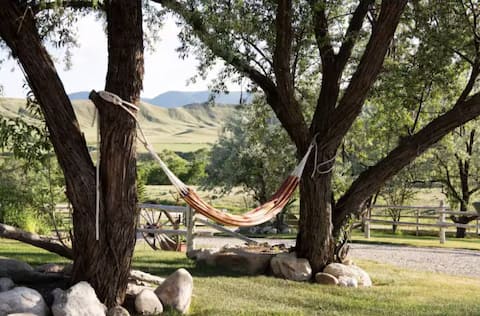 Big Bounty of the Bighorns Cabin near Buffalo