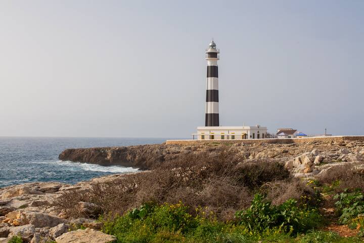 El Faro 8 gallery image 5