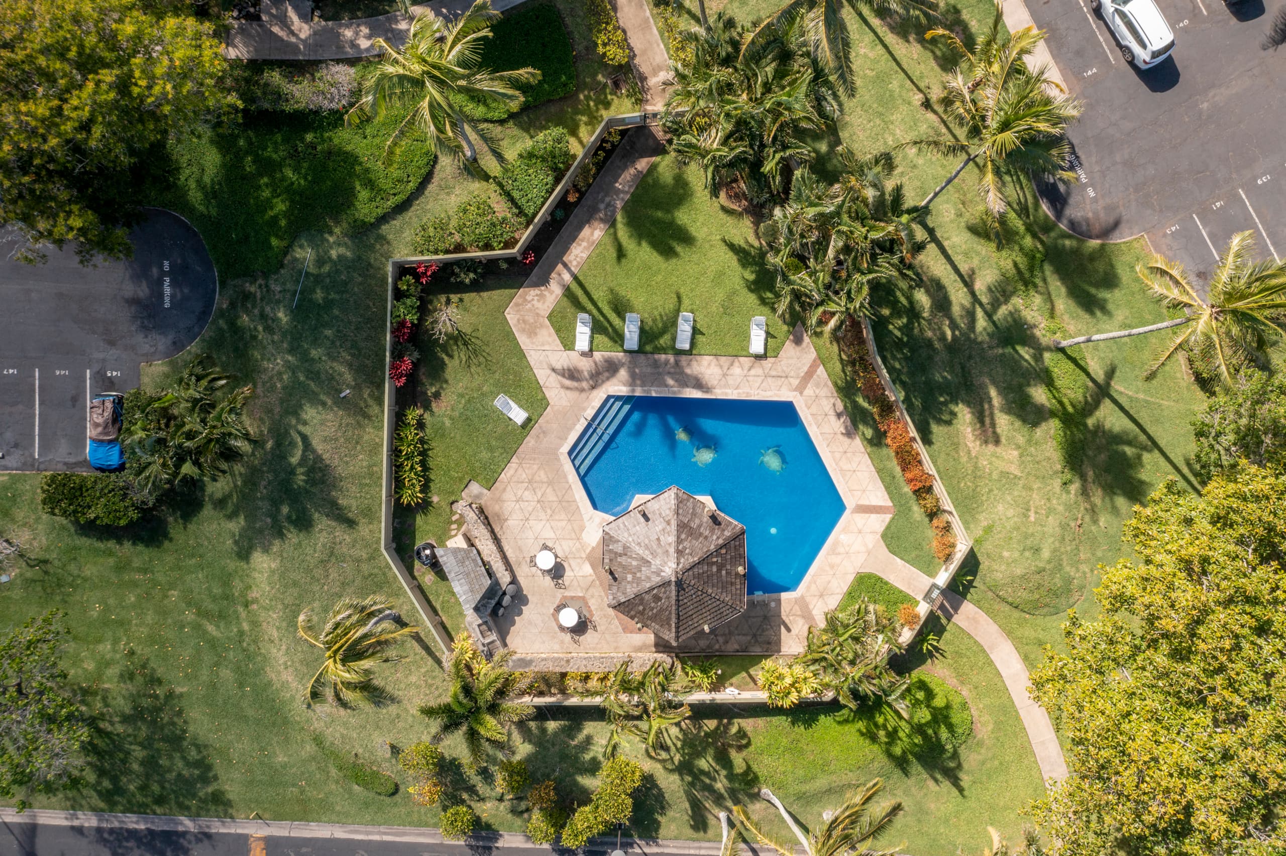 Condo in Kahuku · ★4.8 · 2 bedrooms · 4 beds · 2 shared baths - Image 36