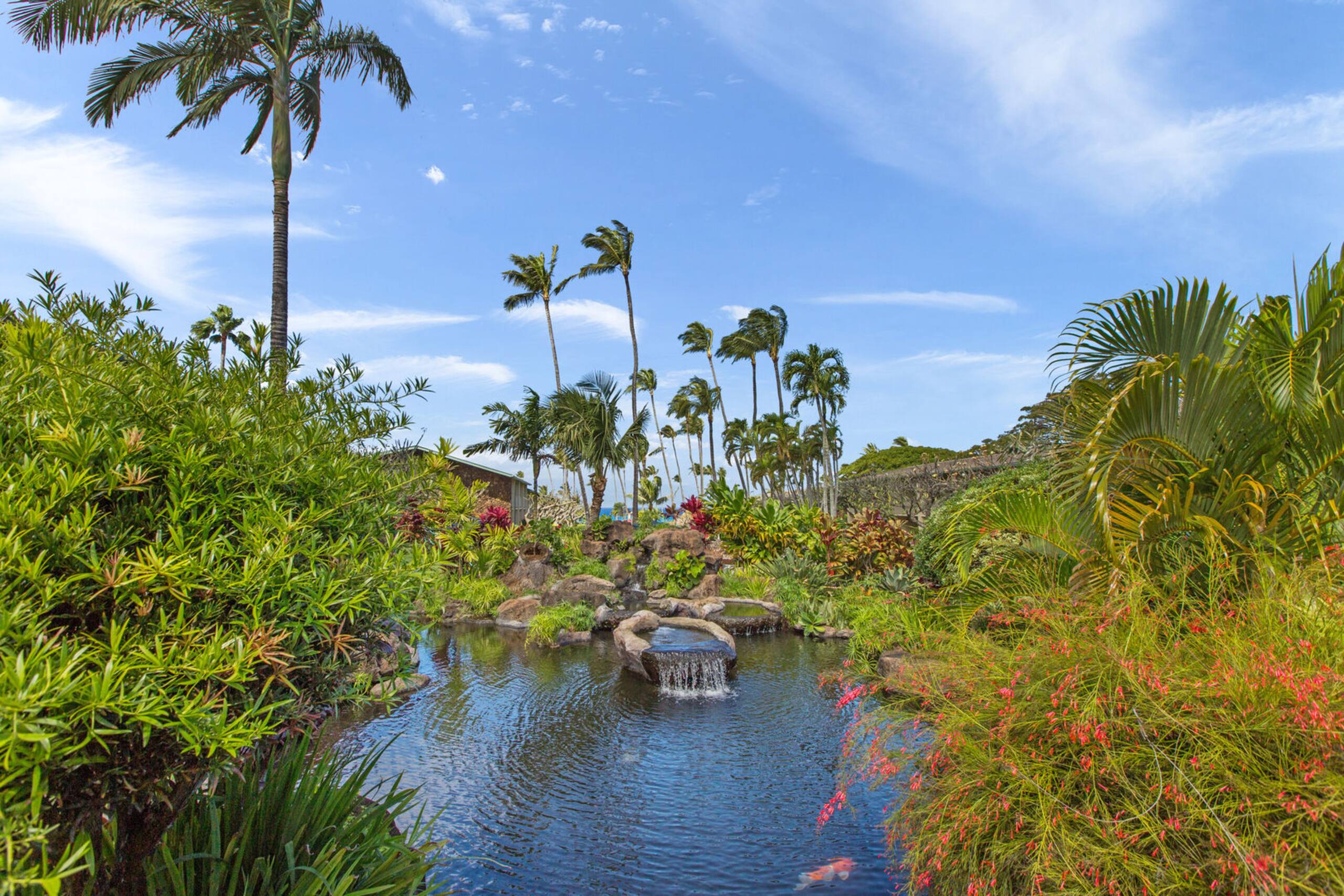 Condo in Lahaina · ★4.8 · Studio · 2 beds · 1 bath - Image 33