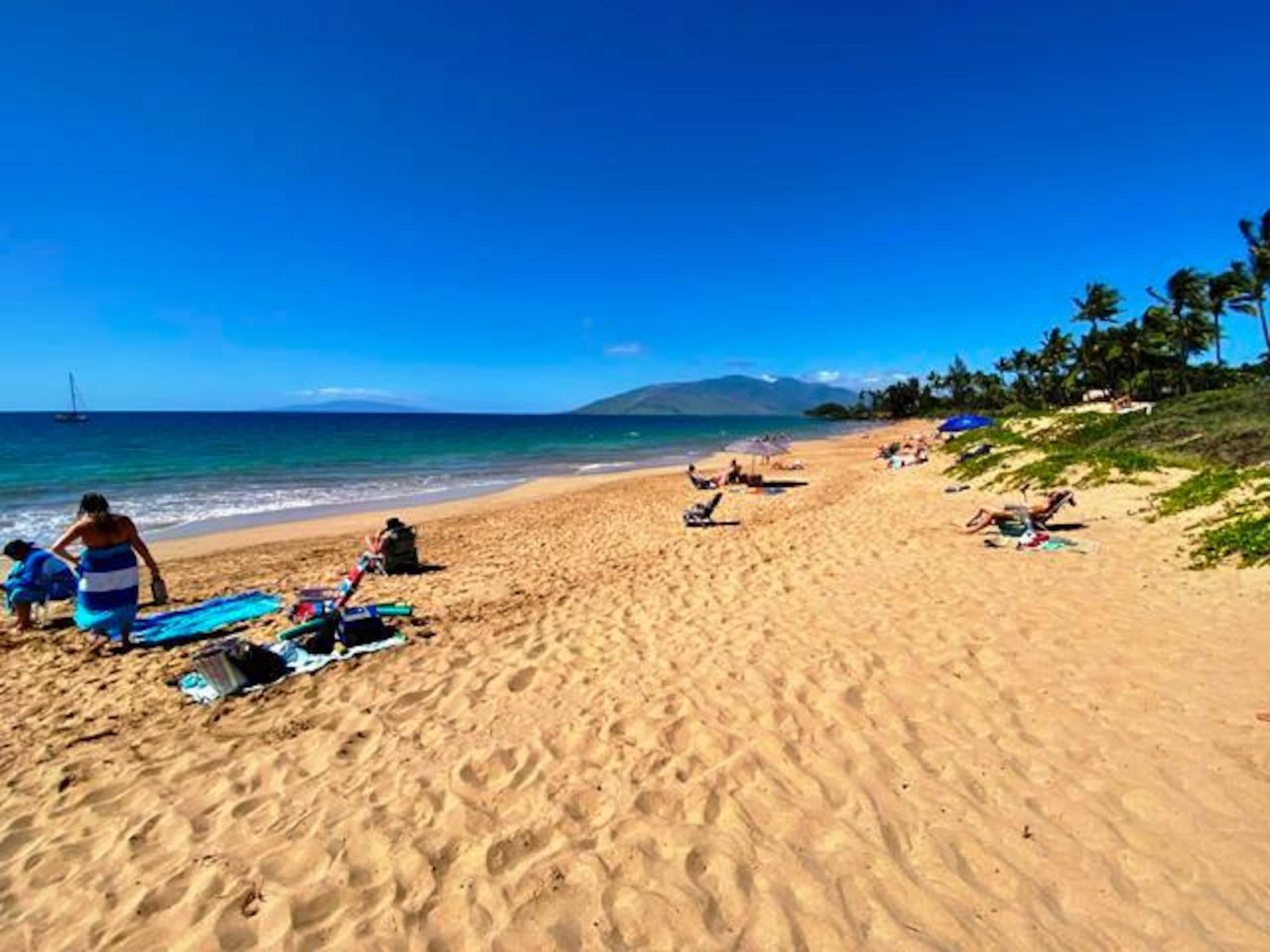 Condo in Kihei · ★4.62 · 3 bedrooms · 5 beds · 2 baths - Image 27