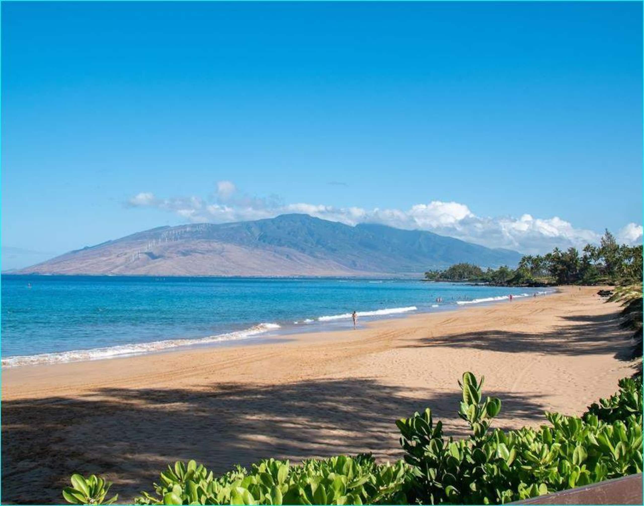 Condo in Kihei · ★4.62 · 3 bedrooms · 5 beds · 2 baths - Image 26