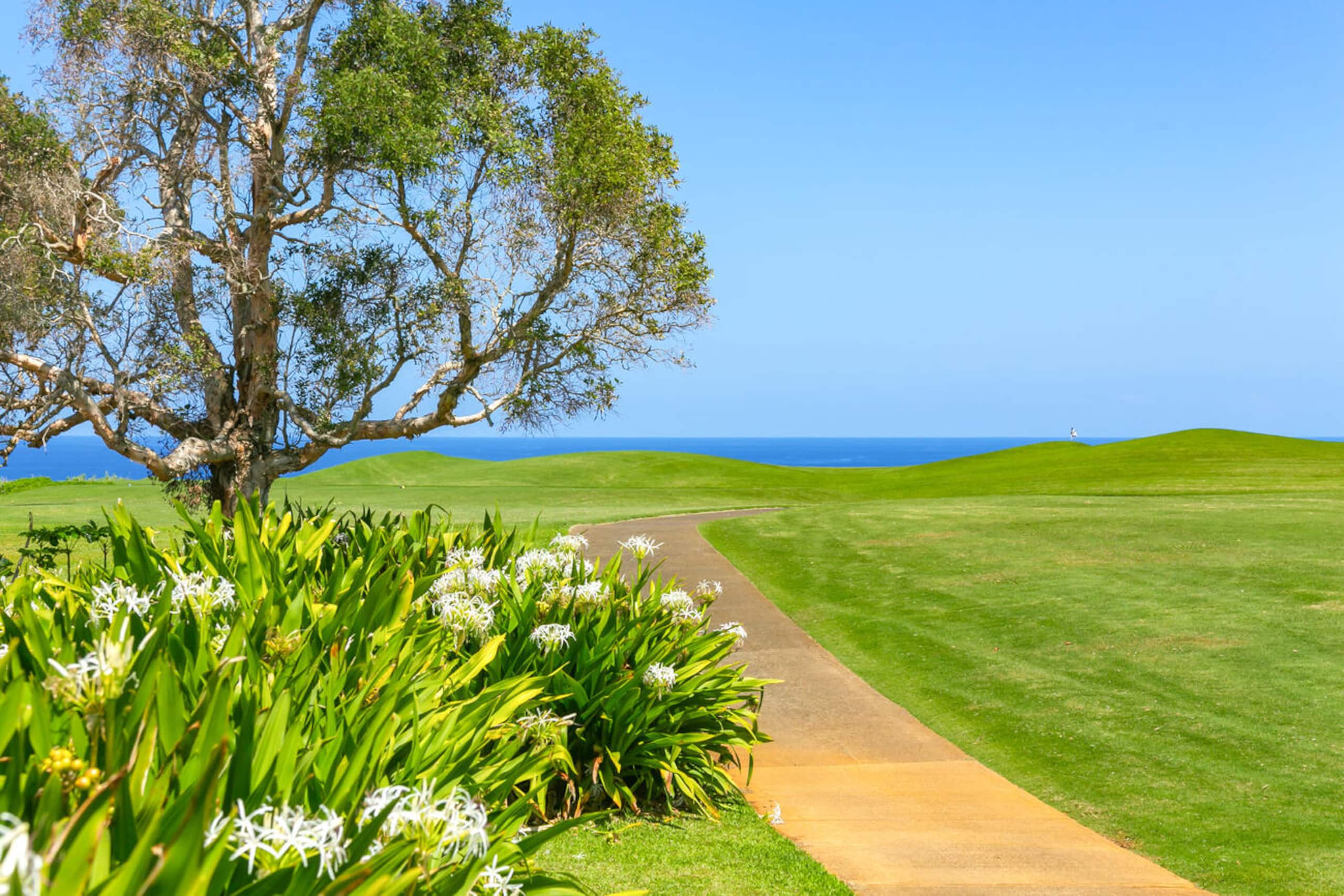 Golf Course Frontage, Heated Pool, Mins to Beaches - Photo 16
