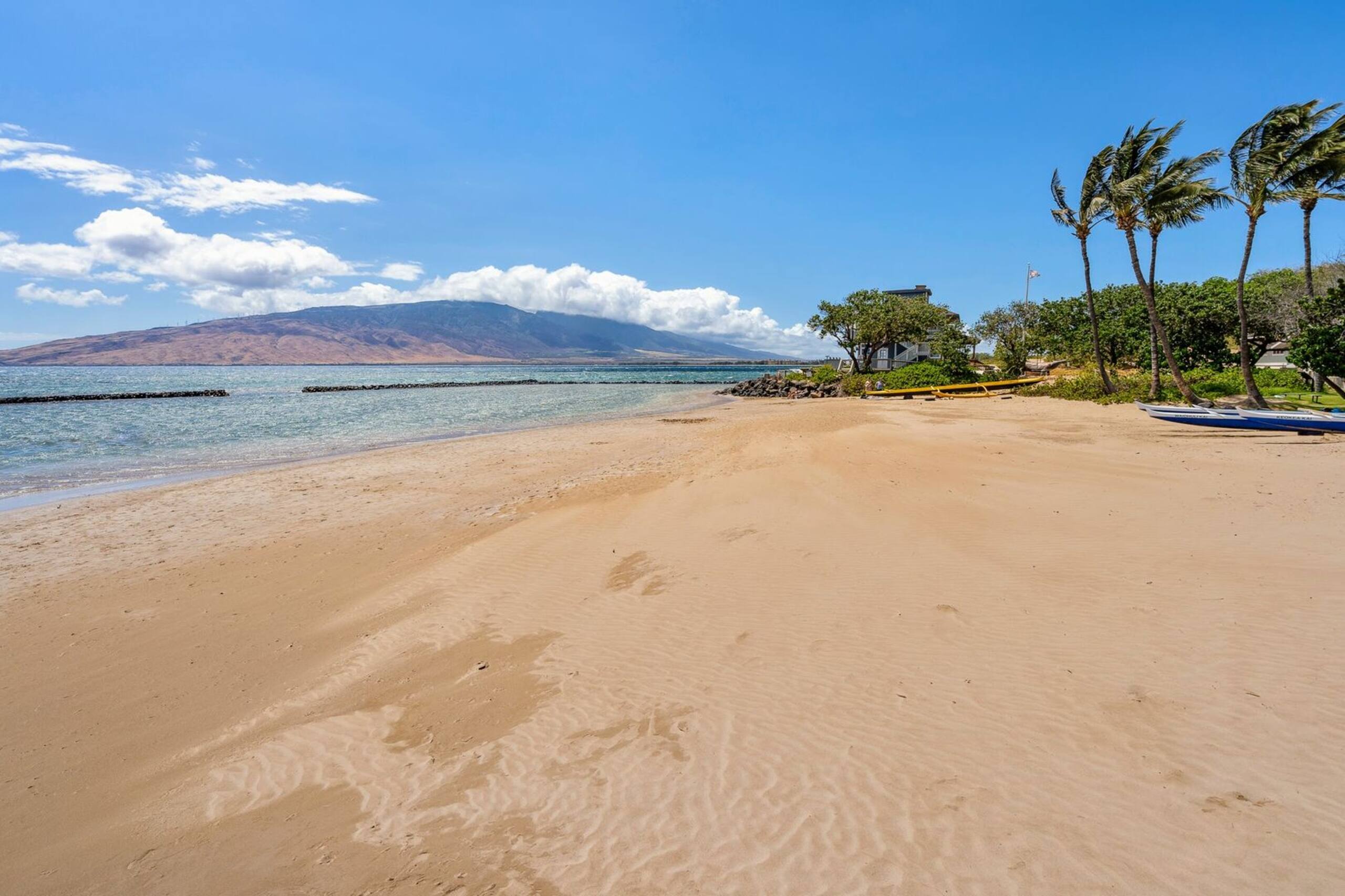 Condo in Kihei · ★4.46 · 2 bedrooms · 3 beds · 2 baths - Image 38