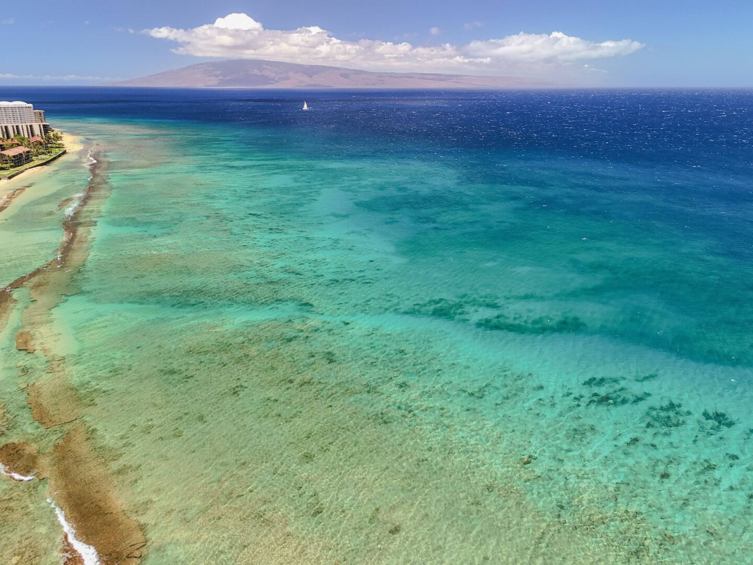 Condo in Lahaina · ★4.67 · 2 bedrooms · 4 beds · 2 baths - Image 38