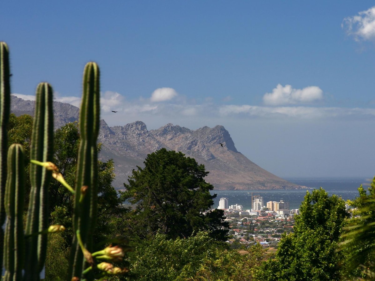 A panoramic view showcases the coastline and city below, framed by the lush greenery of cacti and trees. The mountains rise majestically in the background, under a clear blue sky with a few scattered clouds.
