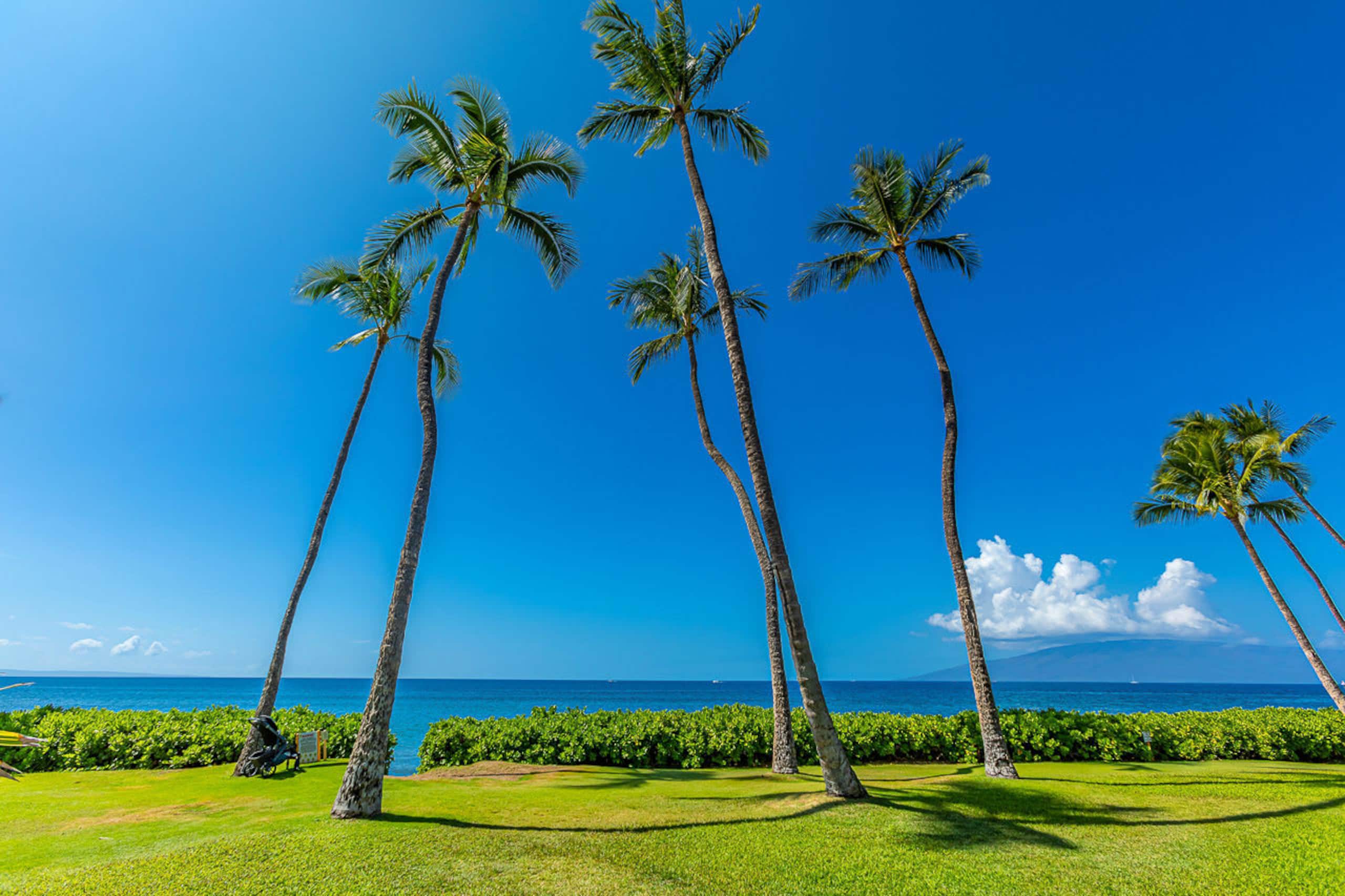 Townhouse in Lahaina · ★4.95 · 3 bedrooms · 4 beds · 4 baths - Image 44