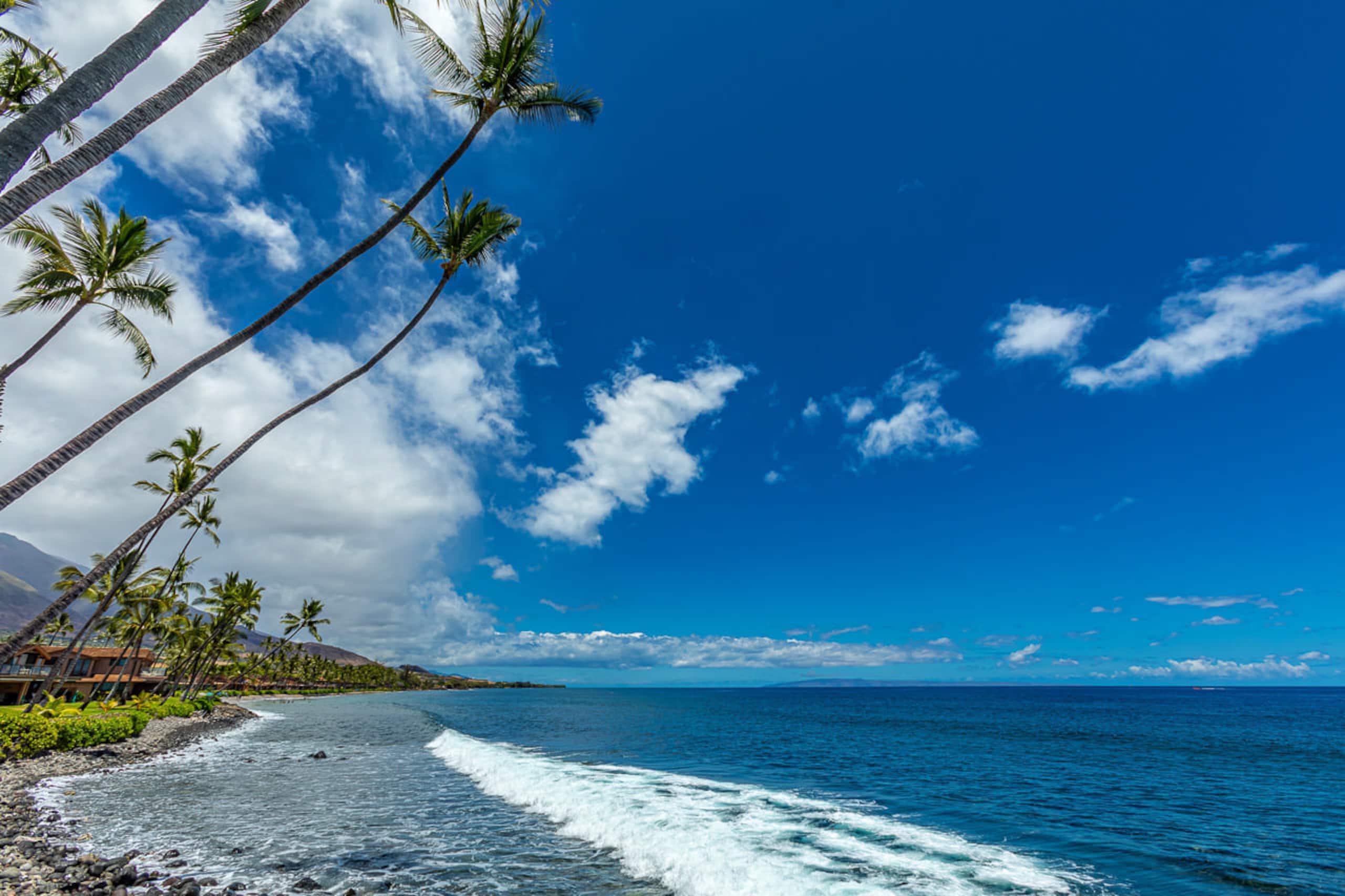 Townhouse in Lahaina · ★4.95 · 3 bedrooms · 4 beds · 4 baths - Image 41