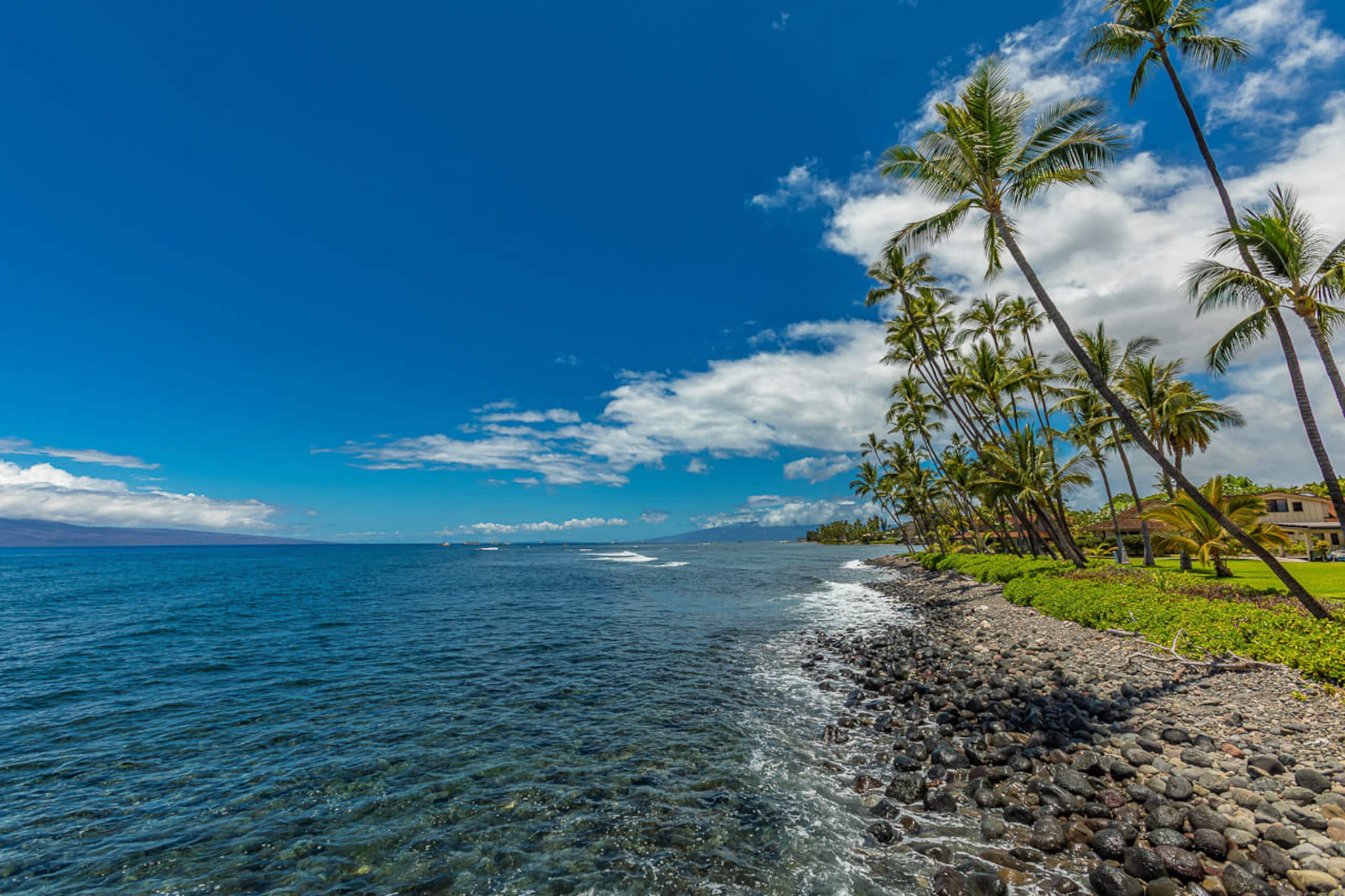 Townhouse in Lahaina · ★4.95 · 3 bedrooms · 4 beds · 4 baths - Image 42