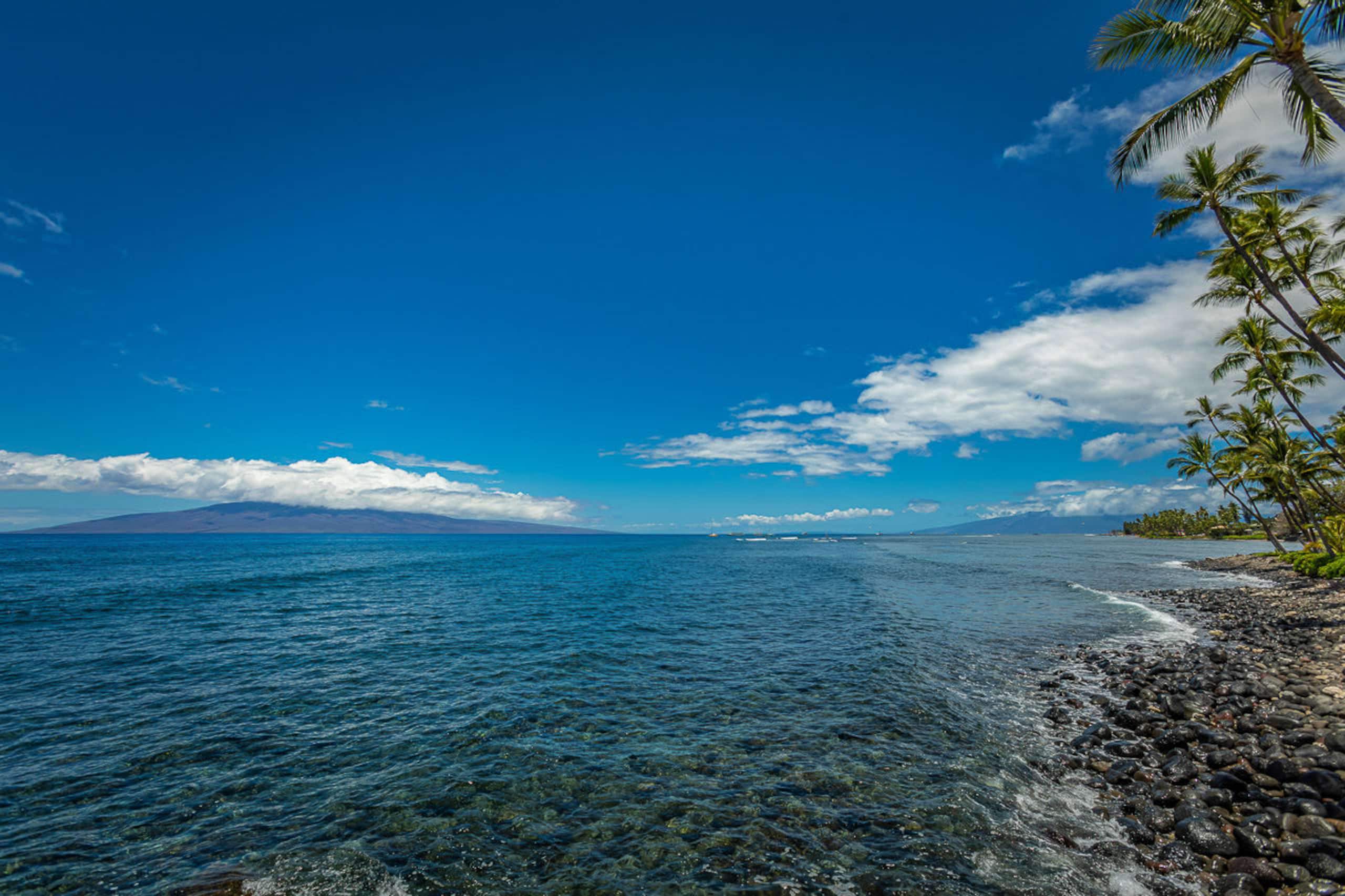 Townhouse in Lahaina · ★4.95 · 3 bedrooms · 4 beds · 4 baths - Image 43