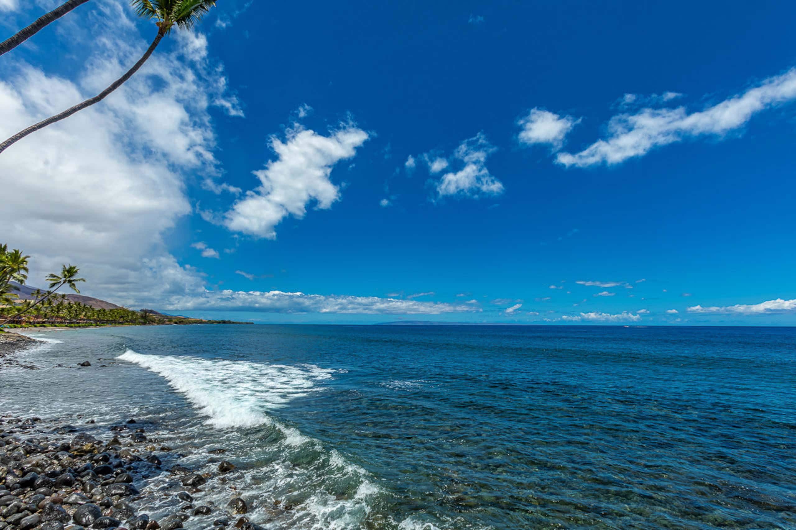 Townhouse in Lahaina · ★4.95 · 3 bedrooms · 4 beds · 4 baths - Image 40