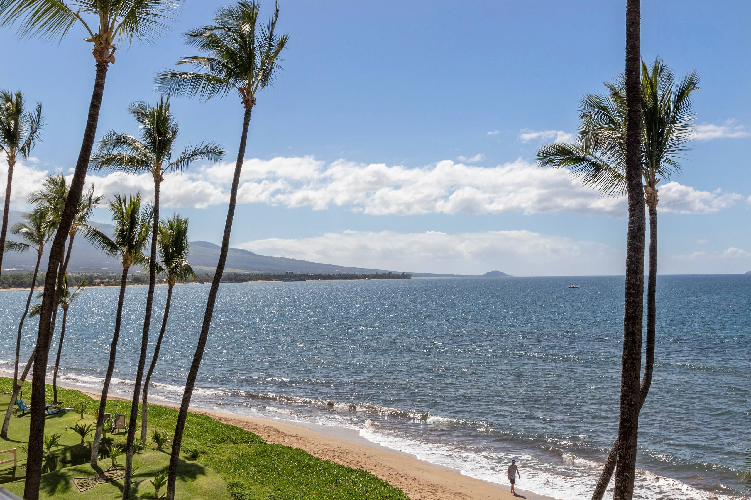 Condo in Kihei · ★4.77 · 1 bedroom · 1 bed · 1 bath - Image 40