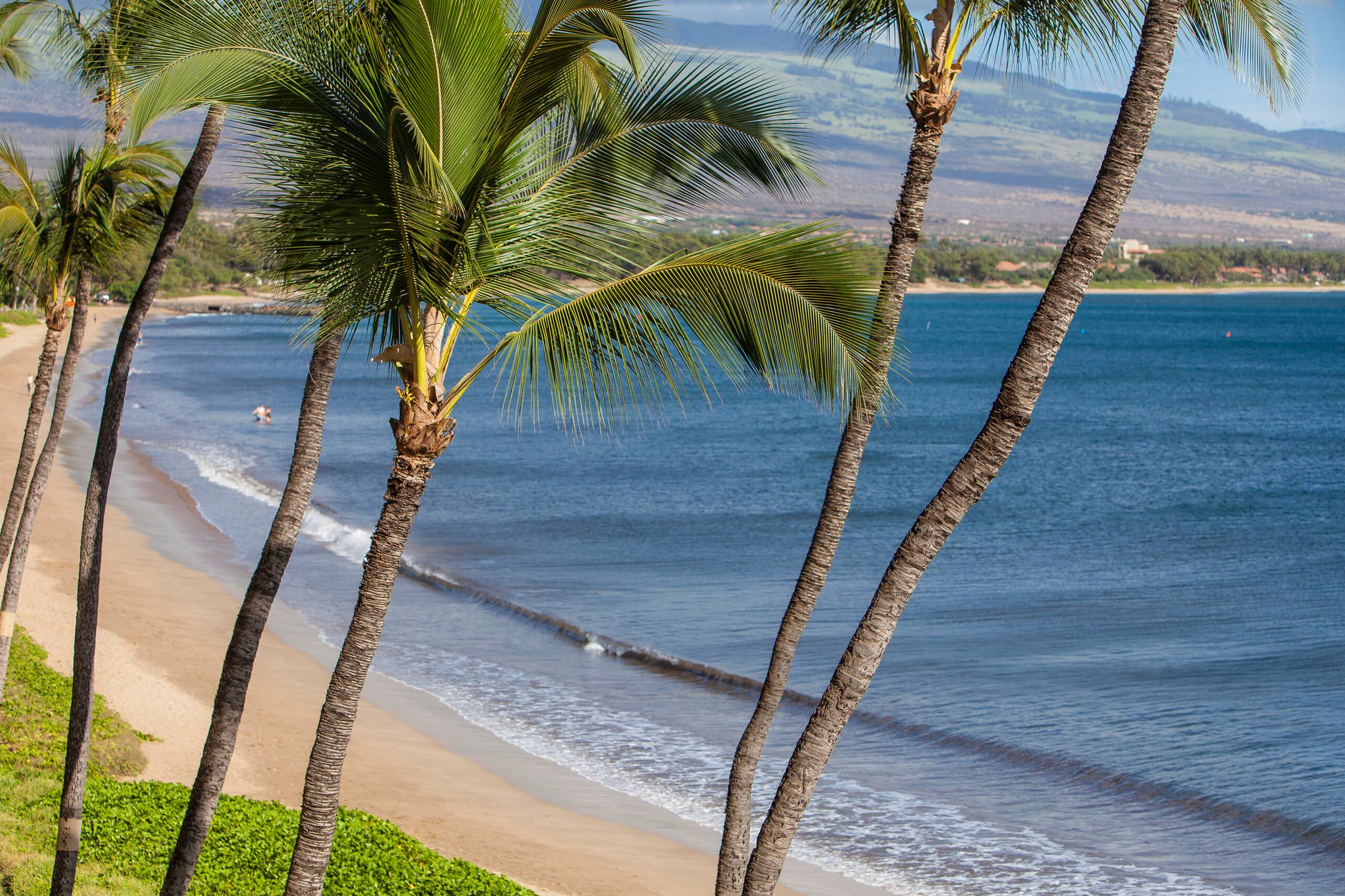 Condo in Kihei · ★4.77 · 1 bedroom · 1 bed · 1 bath - Image 33