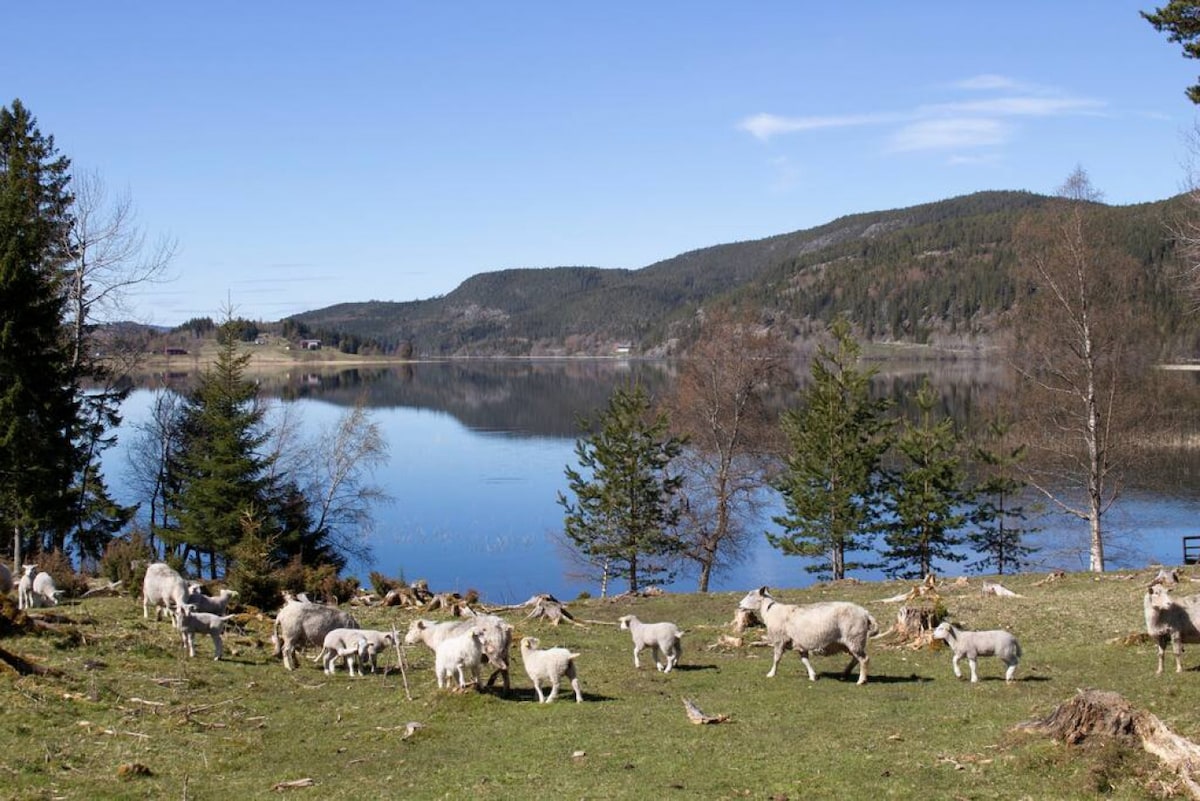 A scenic view of a tranquil lake surrounded by rolling hills and trees, with a flock of sheep grazing on green grass in the foreground. The clear blue sky reflects off the water's surface, creating a serene natural setting.