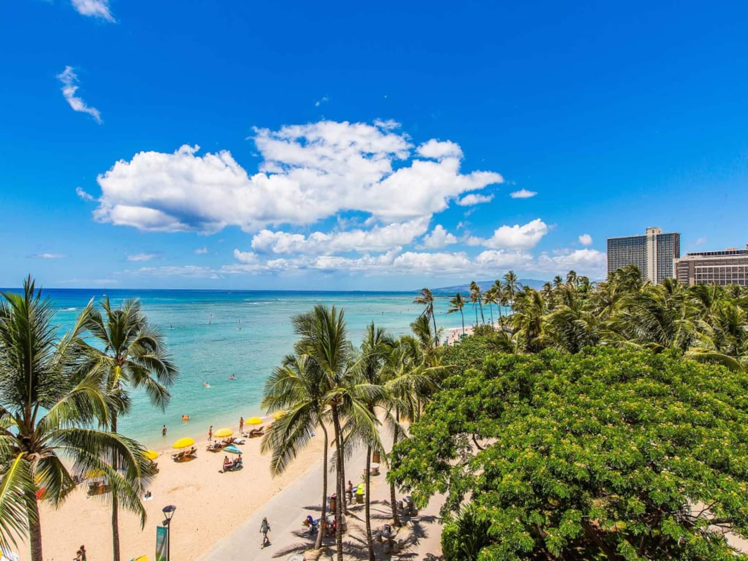 Condo in Honolulu · ★4.54 · 2 bedrooms · 3 beds · 2 shared baths - Image 39