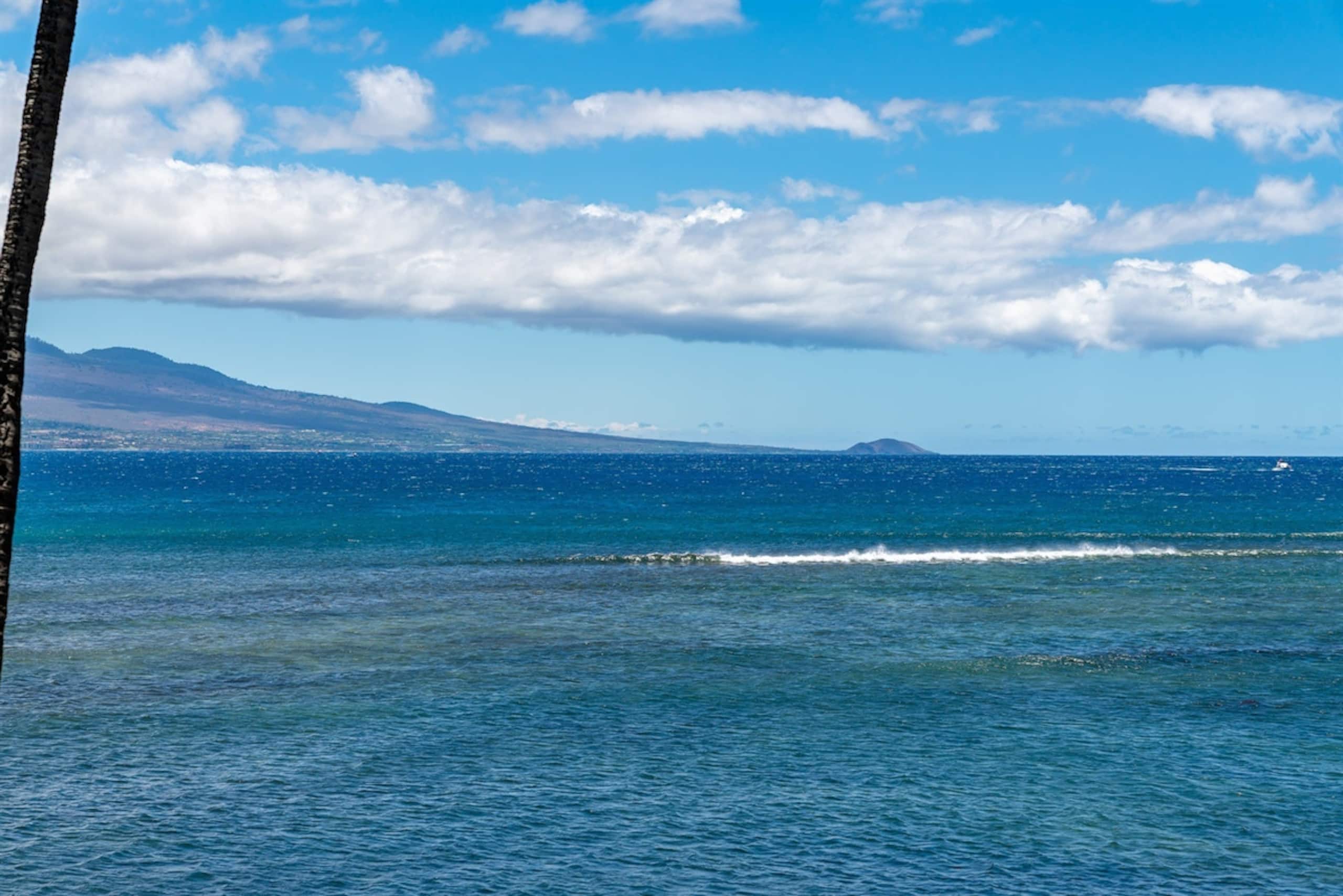 Condo in Wailuku · ★4.94 · 2 bedrooms · 4 beds · 2 baths - Image 25