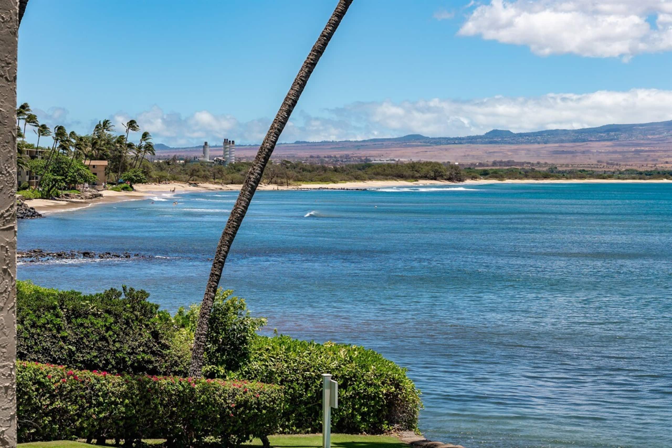 Condo in Wailuku · ★4.94 · 2 bedrooms · 4 beds · 2 baths - Image 24