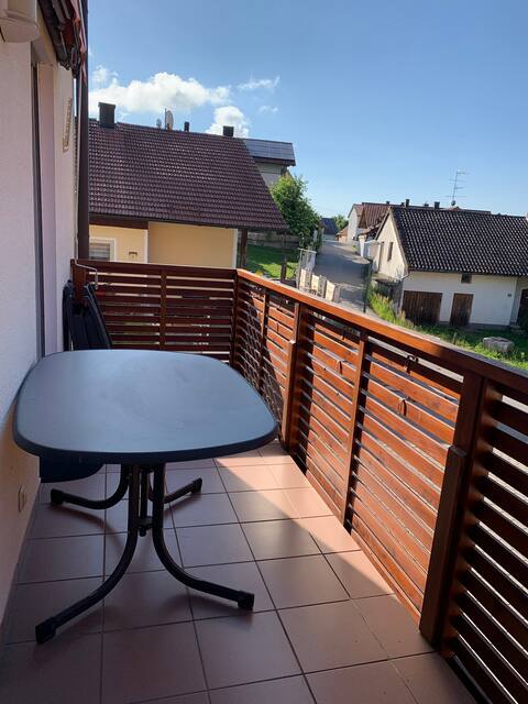 Apartment 1, 45 sqm (apartment Tomandl)