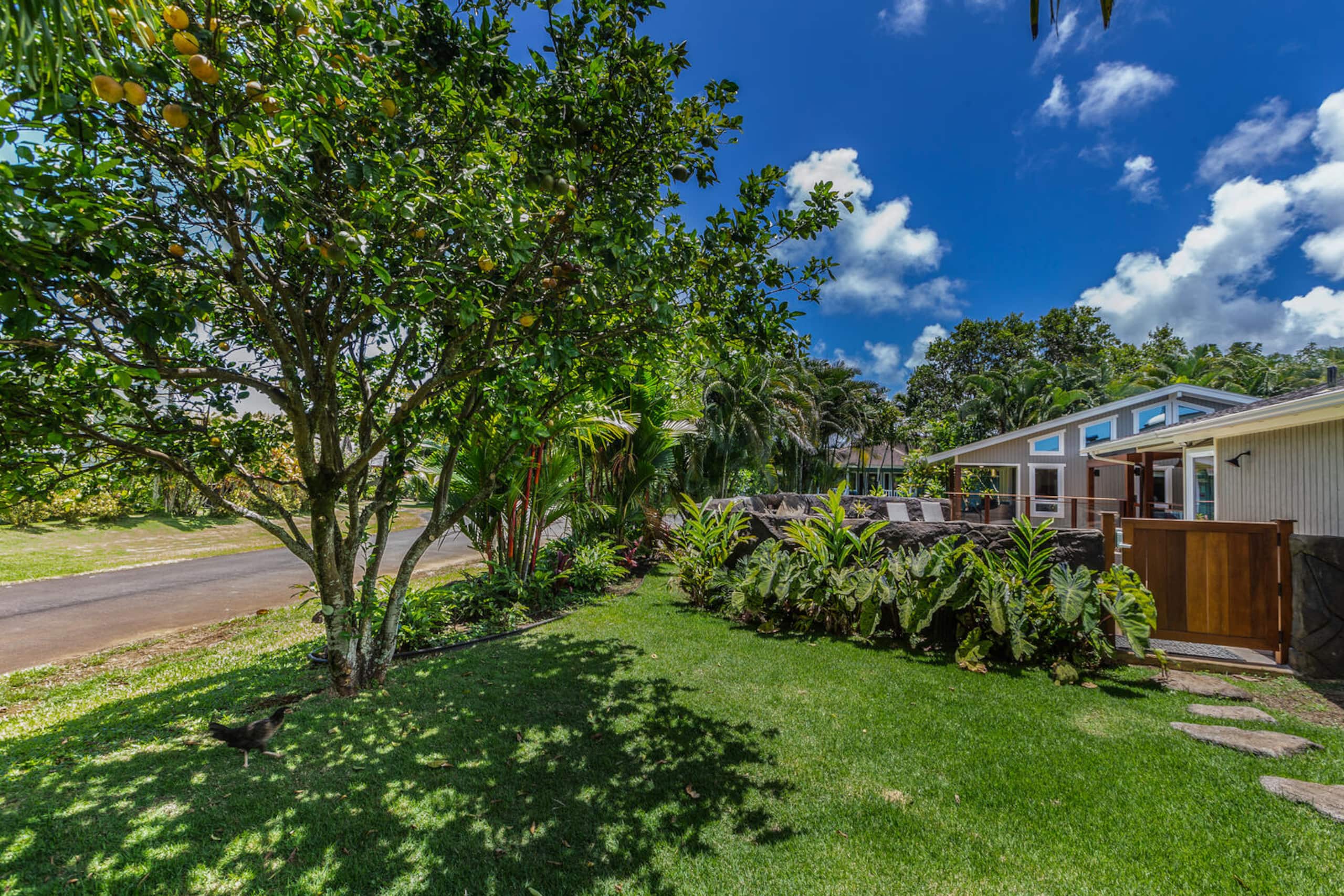 Home in Princeville · ★4.9 · 4 bedrooms · 7 beds · 3 baths - Image 27