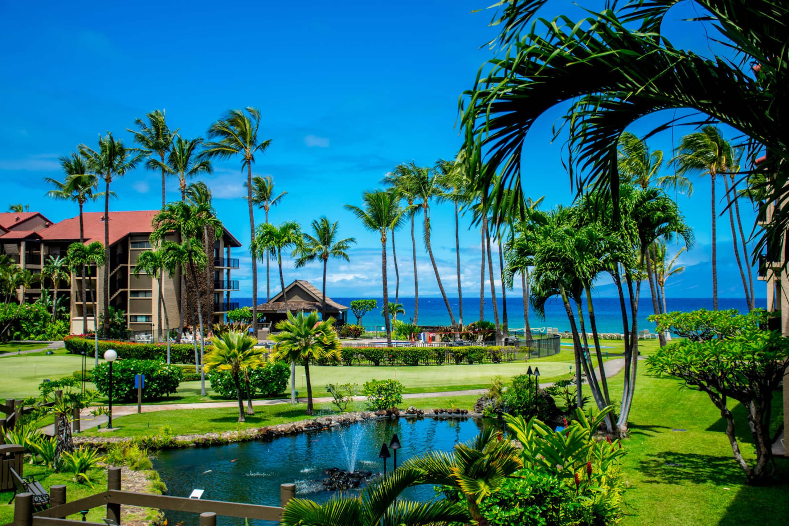 Condo in Lahaina · ★4.8 · 1 bedroom · 2 beds · 1 bath - Image 24
