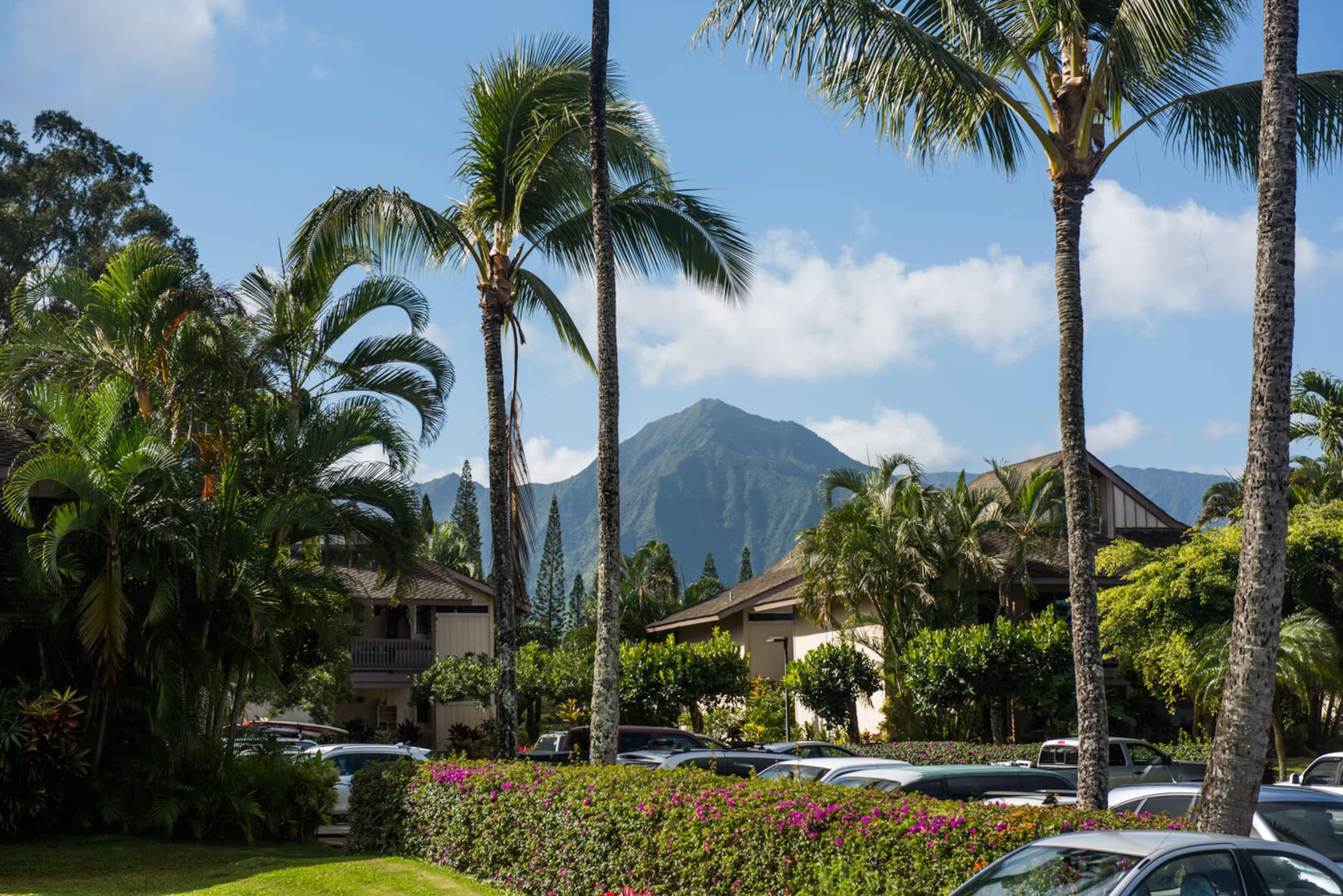 Condo in Princeville · ★4.73 · 1 bedroom · 1 bed · 1 private bath - Image 12