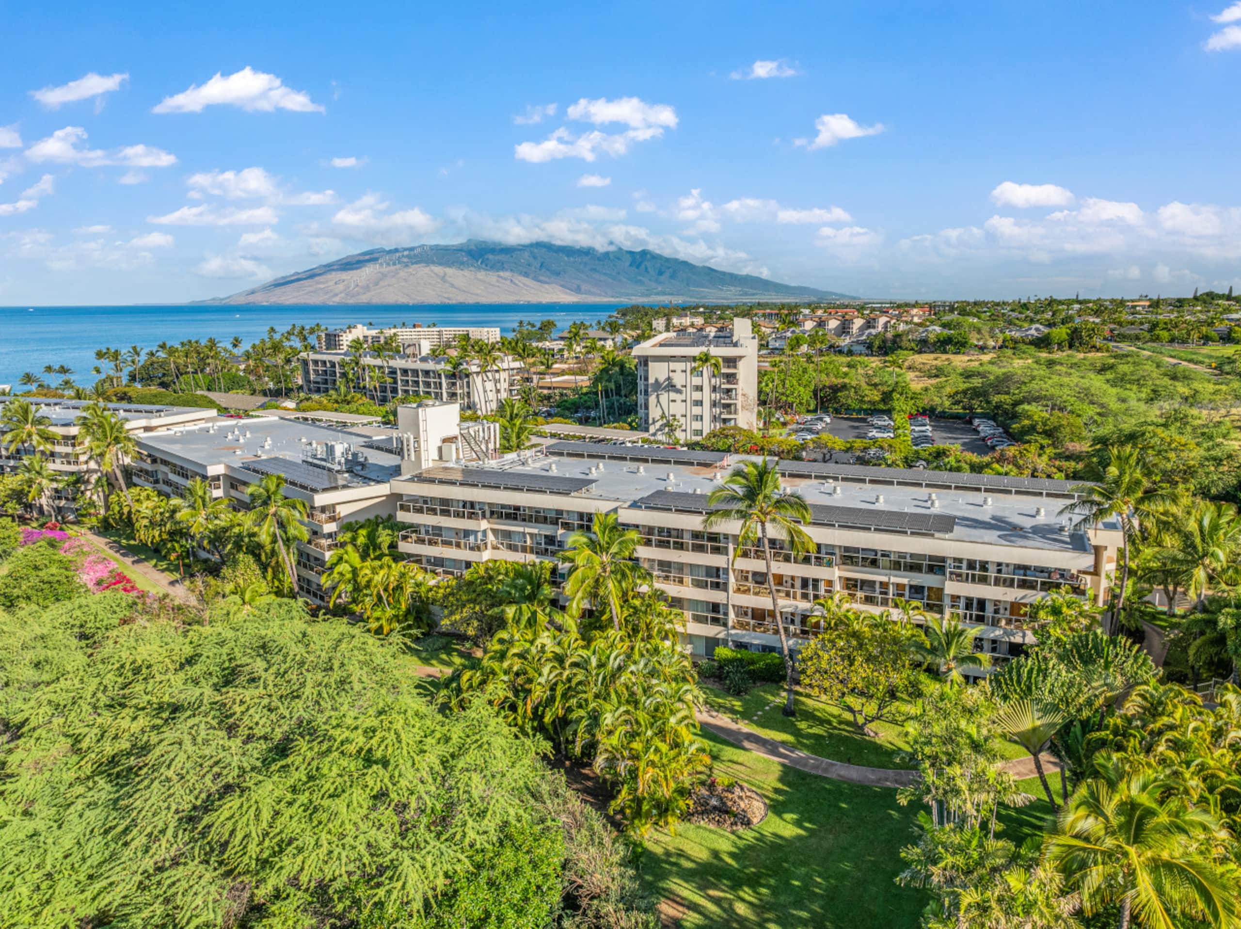 Condo in Kihei · ★4.96 · 1 bedroom · 2 beds · 1 private bath - Image 45