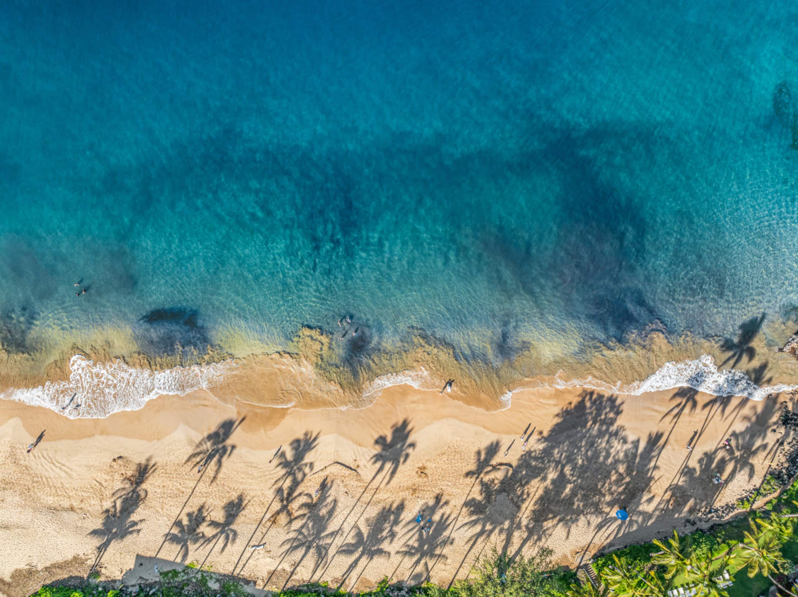 Condo in Kihei · ★4.96 · 1 bedroom · 2 beds · 1 private bath - Image 50