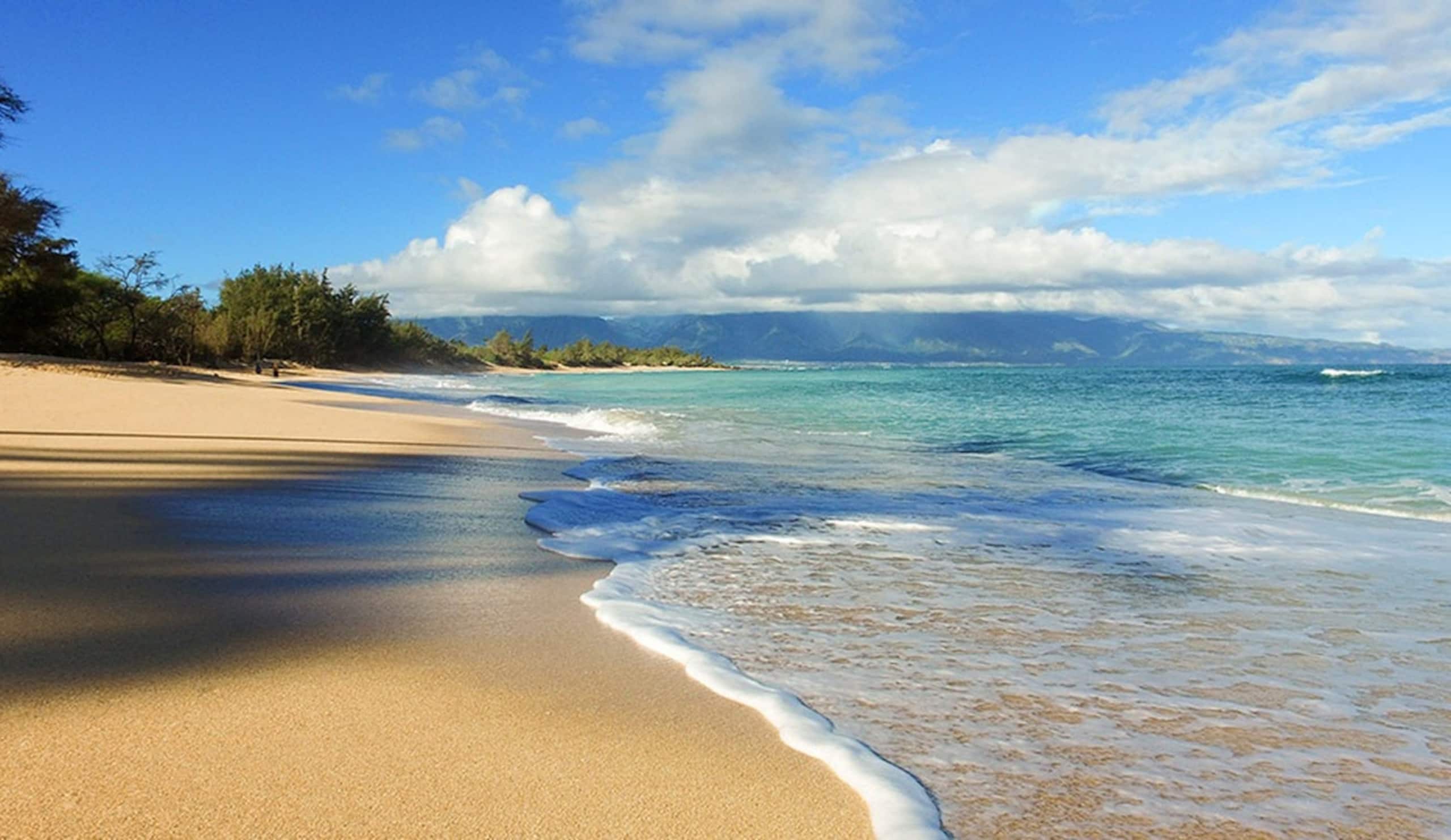 Condo in Kihei · ★4.96 · 1 bedroom · 2 beds · 1 private bath - Image 31