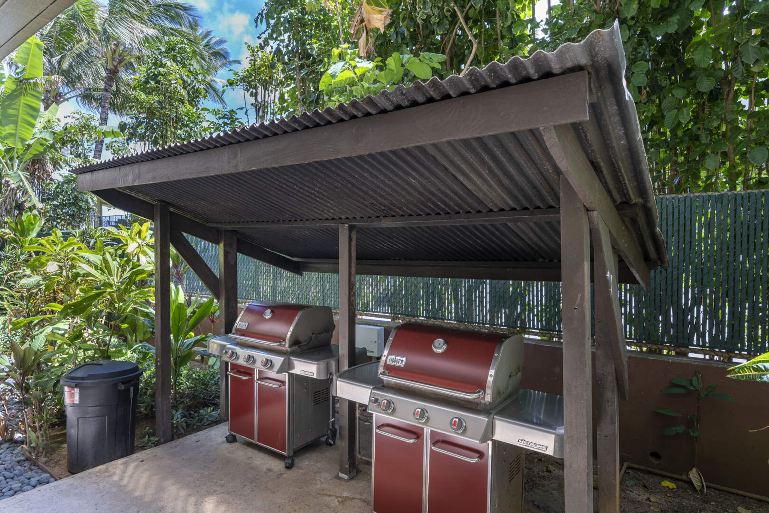 Condo in Kapaa · ★4.9 · 2 bedrooms · 3 beds · 1 private bath - Image 19