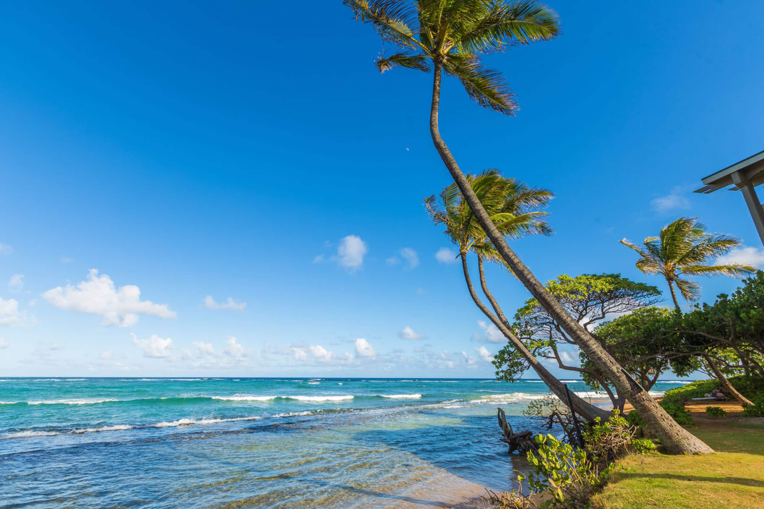 Condo in Kapaa · ★4.9 · 2 bedrooms · 3 beds · 1 private bath - Image 21