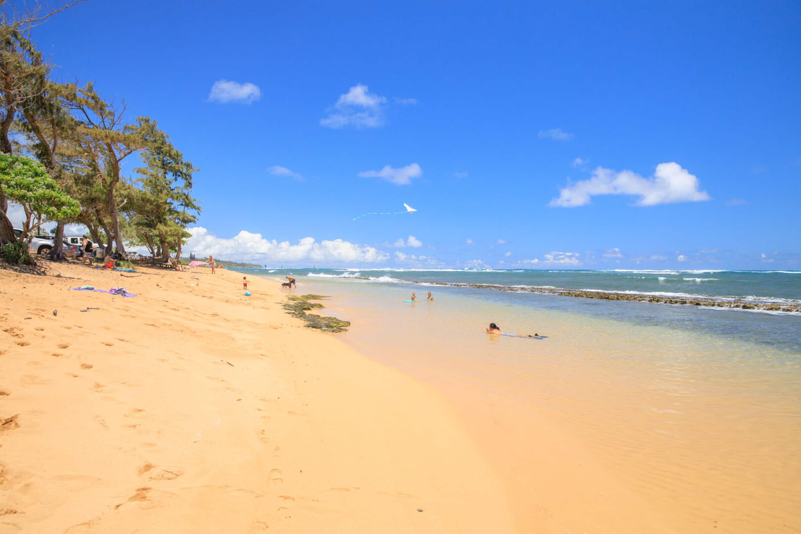 Condo in Kapaa · ★4.9 · 2 bedrooms · 3 beds · 1 private bath - Image 32