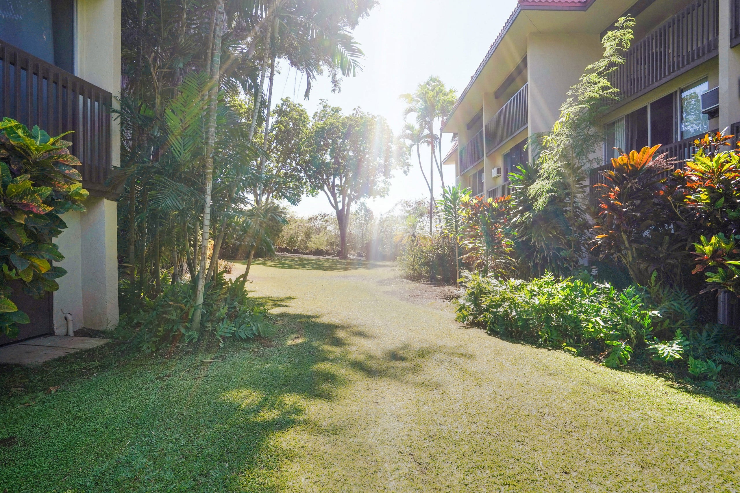 Condo in Kailua-Kona · ★4.68 · 1 bedroom · 2 beds · 1 shared bath - Image 30