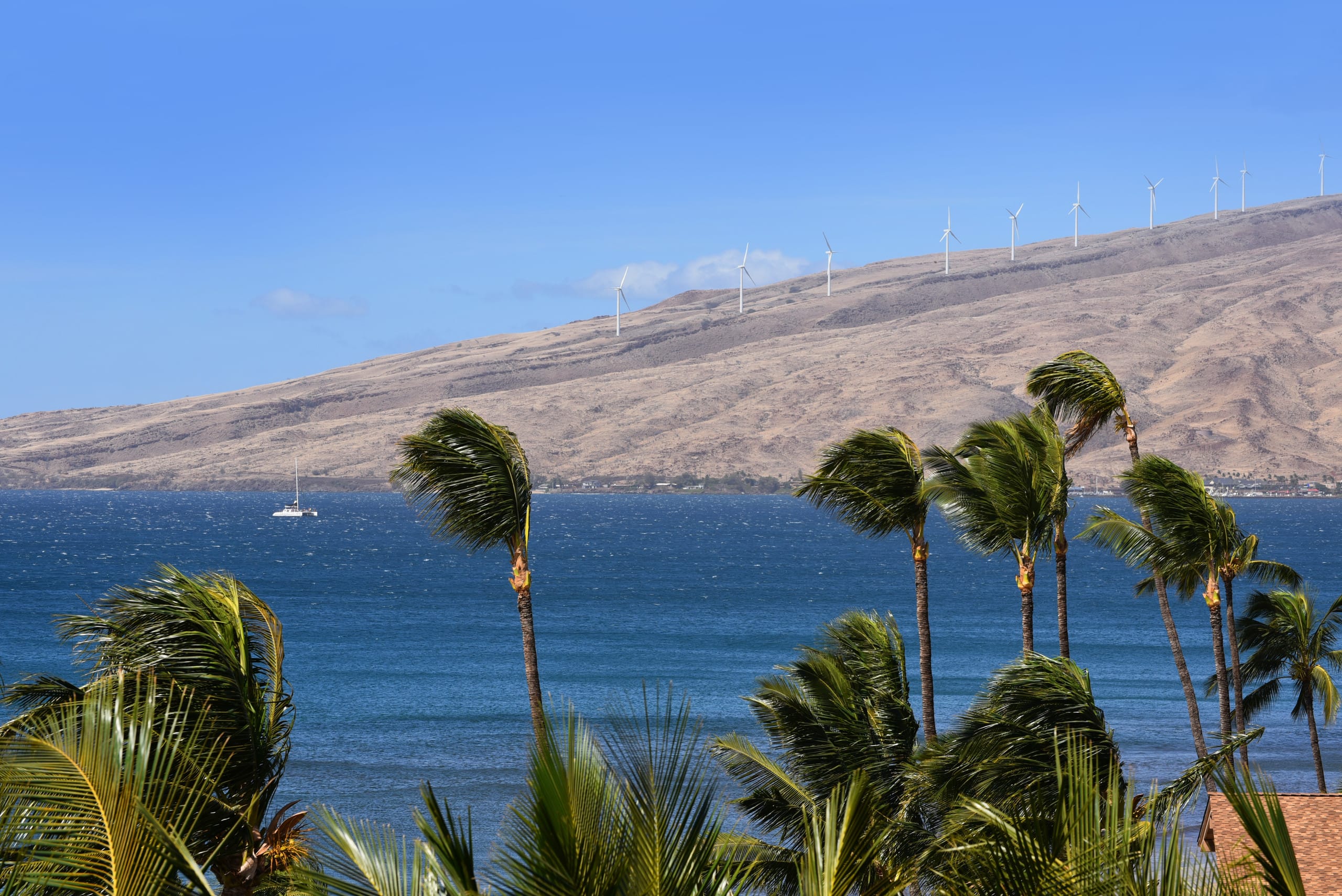 Condo in Kihei · ★4.76 · 1 bedroom · 2 beds · 2 baths - Image 10